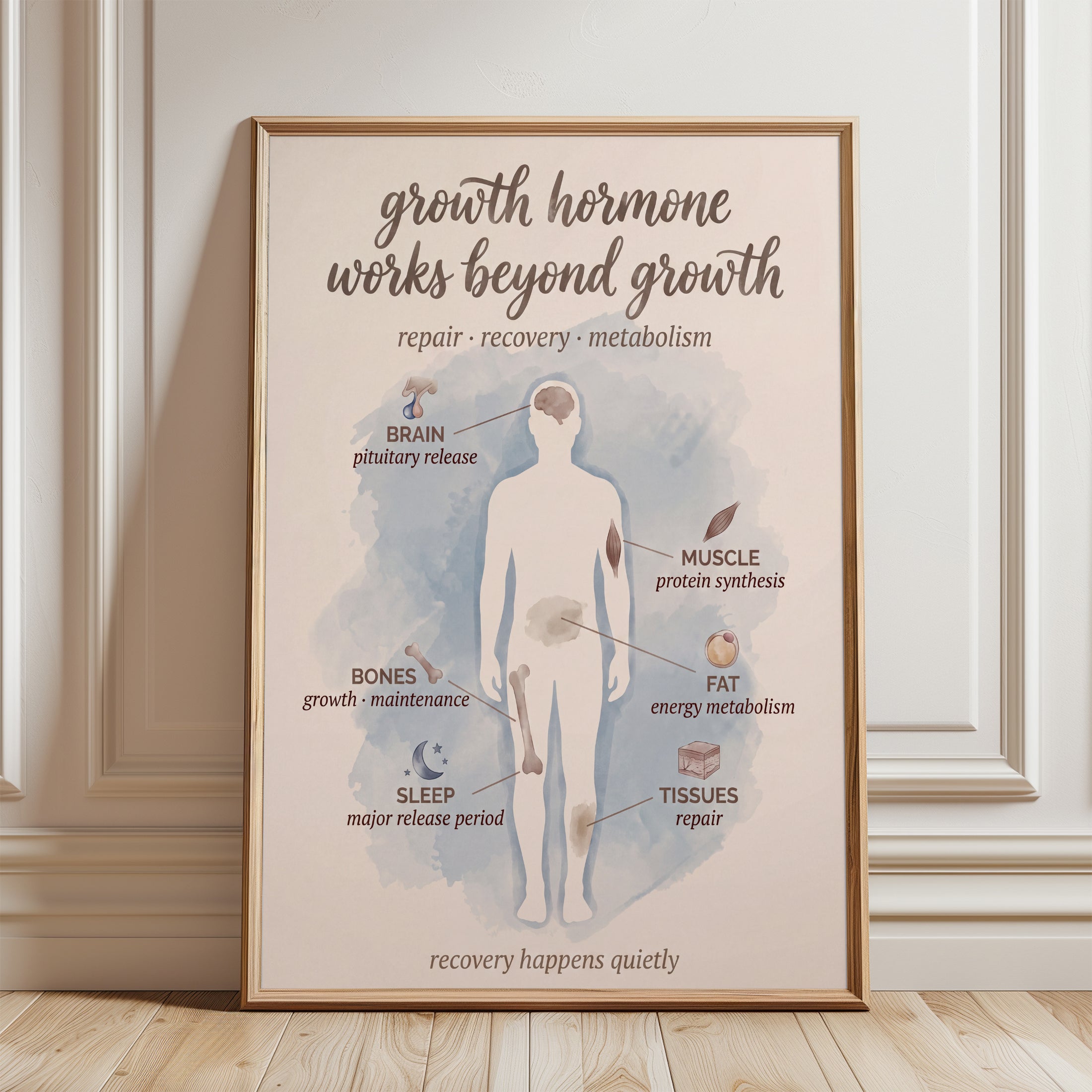 Growth Hormone Poster - framed detail