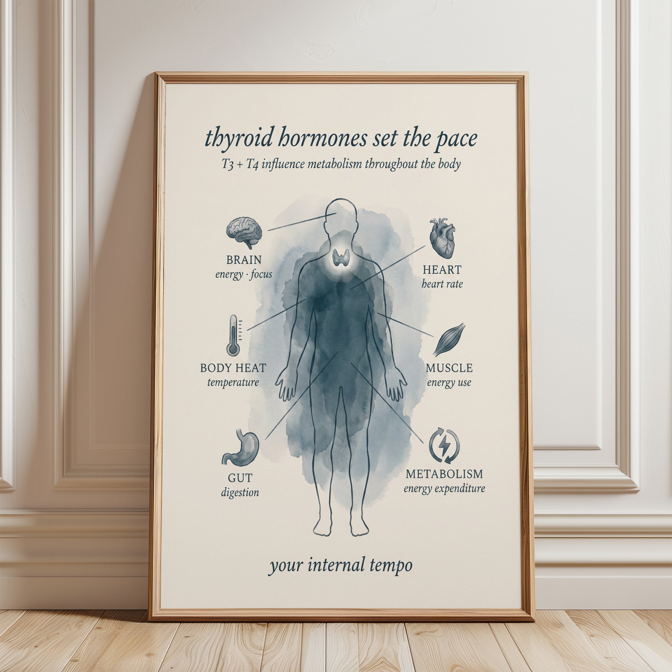 Thyroid Anatomy Poster - framed detail