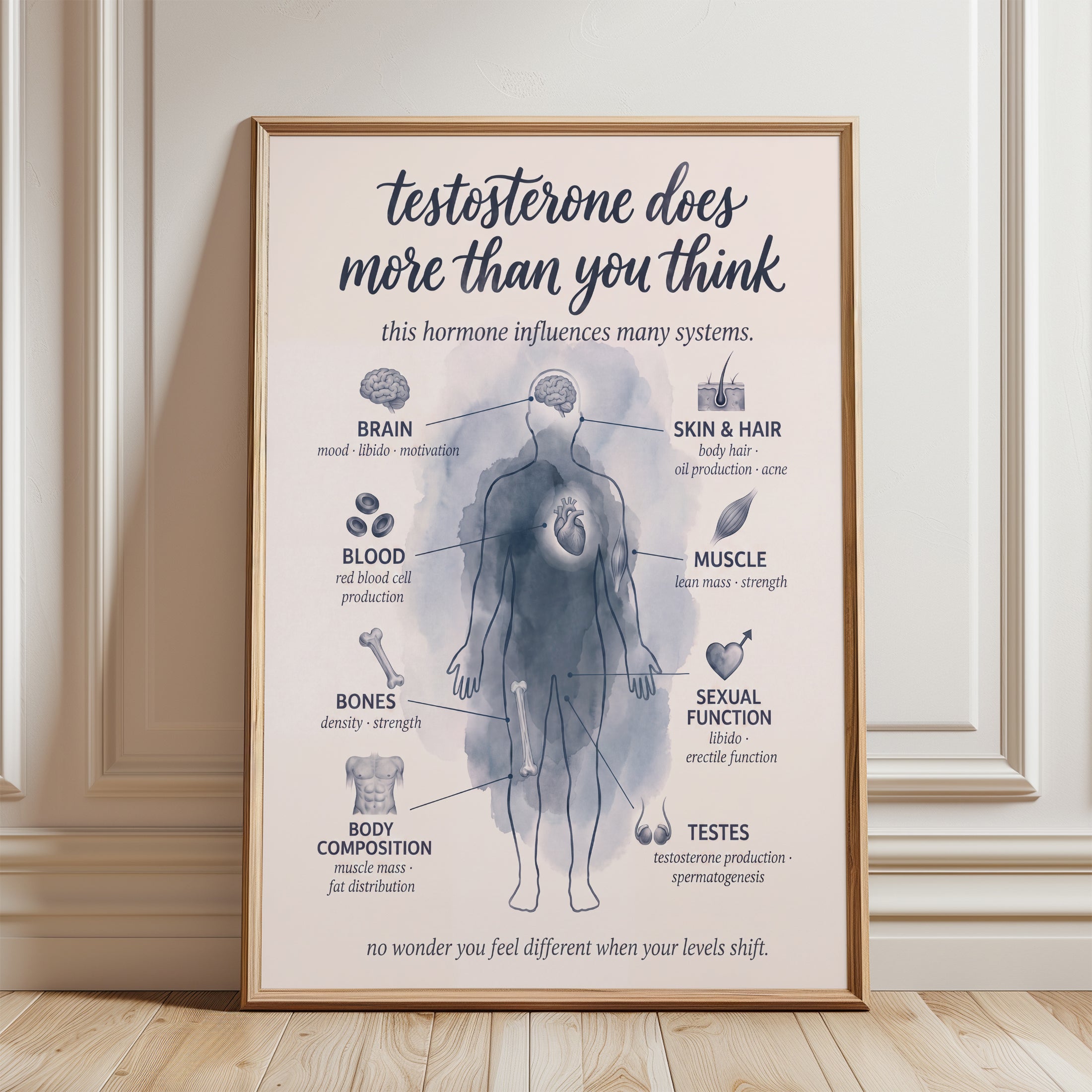 Testosterone Poster – Hormone Health Wall Art - framed detail