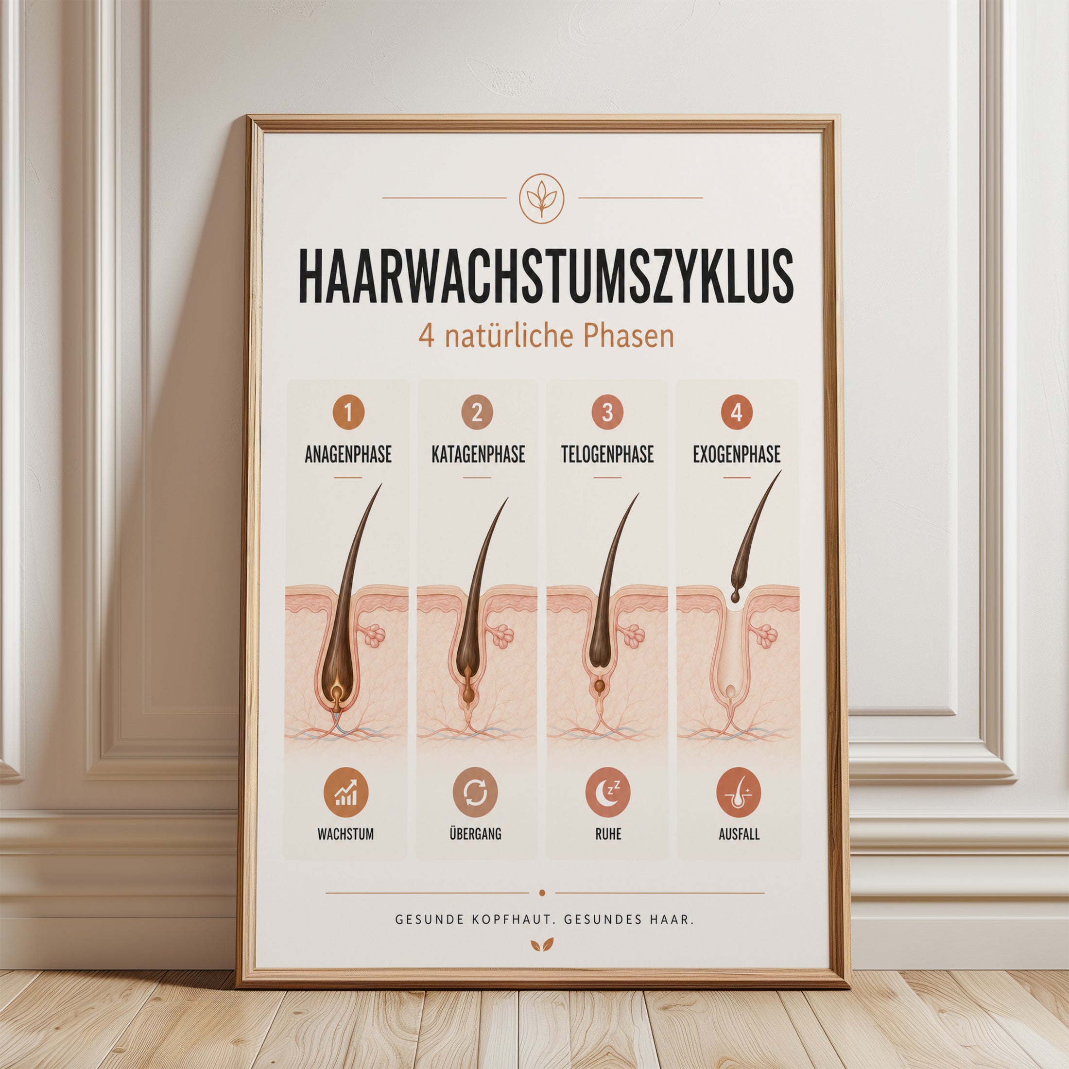 Hair Growth Poster – Hair Cycle Chart - framed detail
