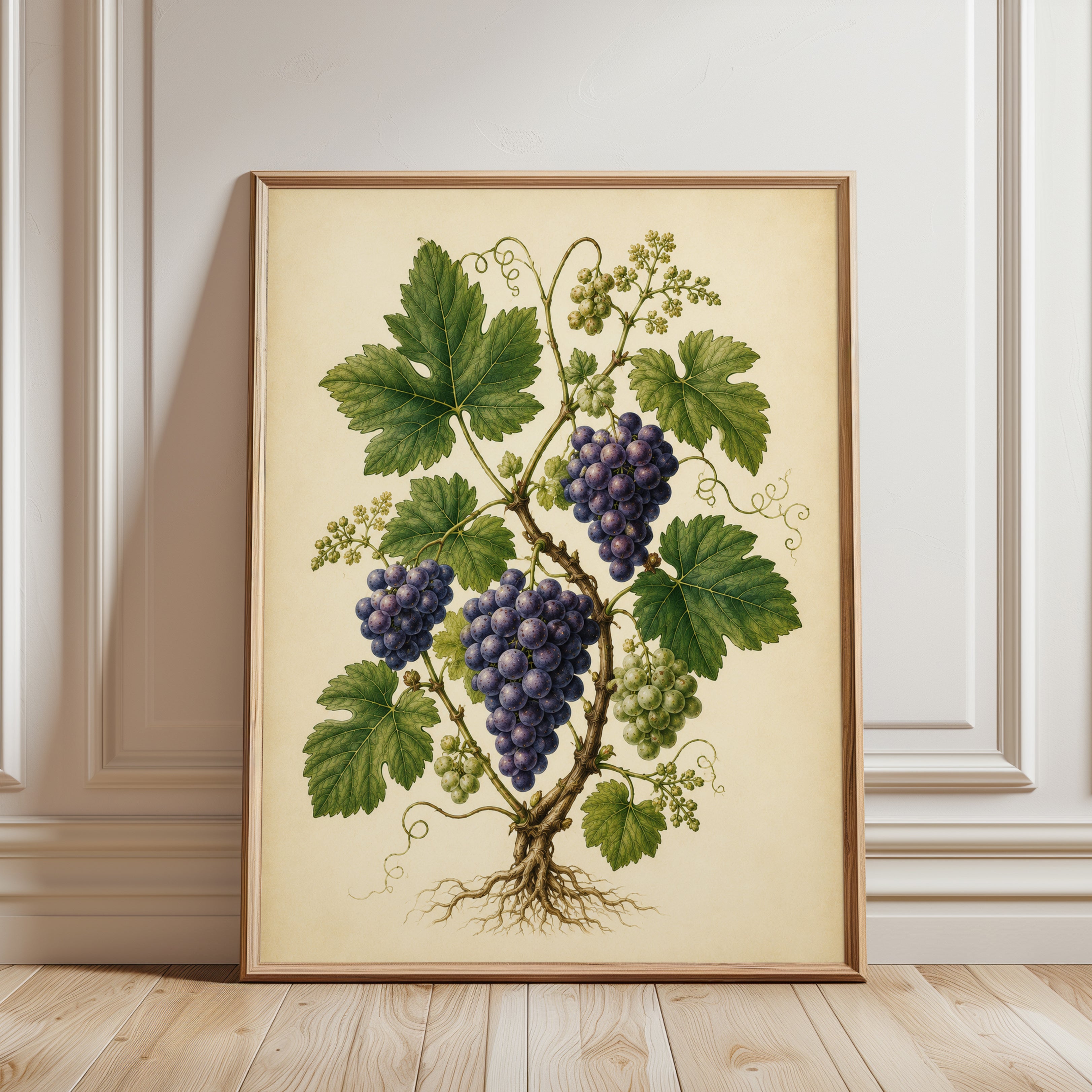 Vintage Grape Botanical Print — Antique Wine Illustration - framed detail