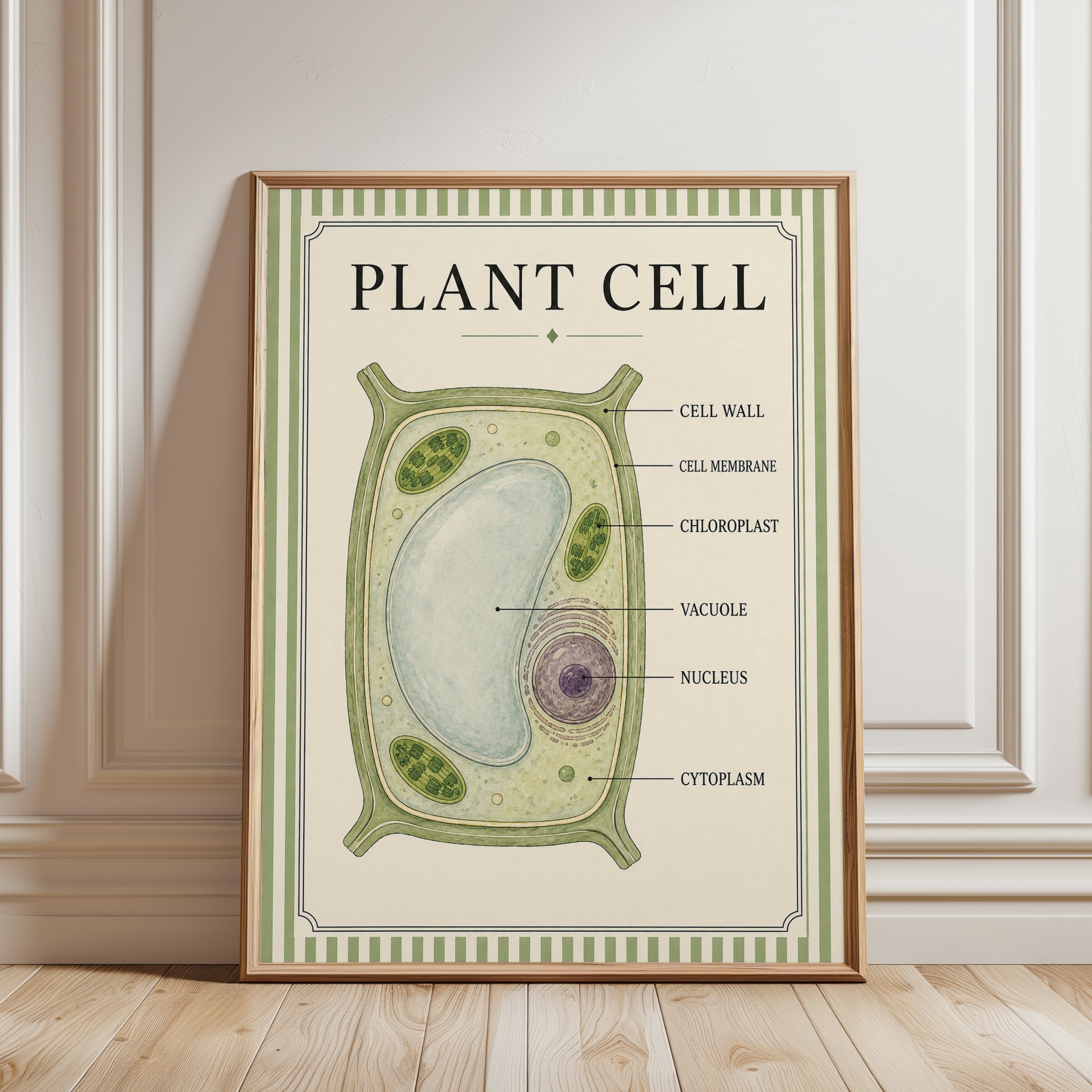 Plant Cell Poster – Biology Wall Art - framed detail