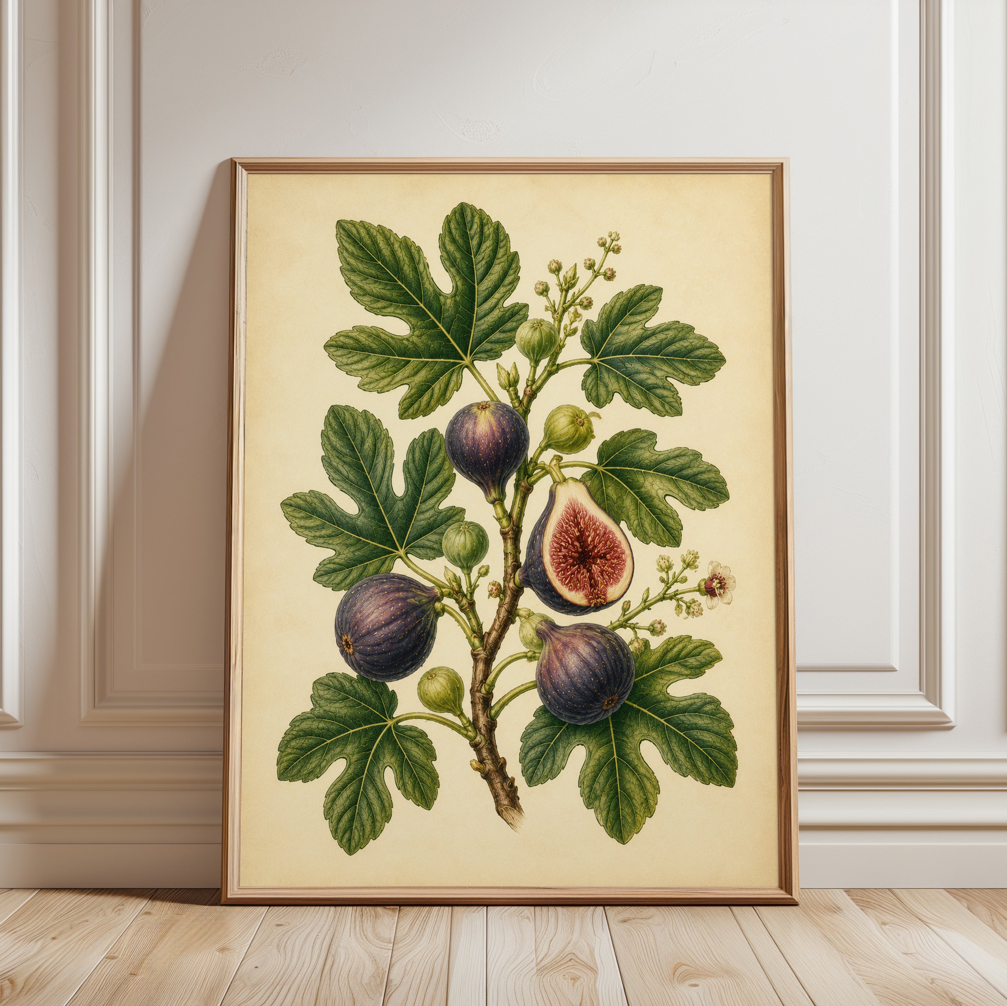 Fig Botanical Print — Vintage Fruit Illustration - framed detail