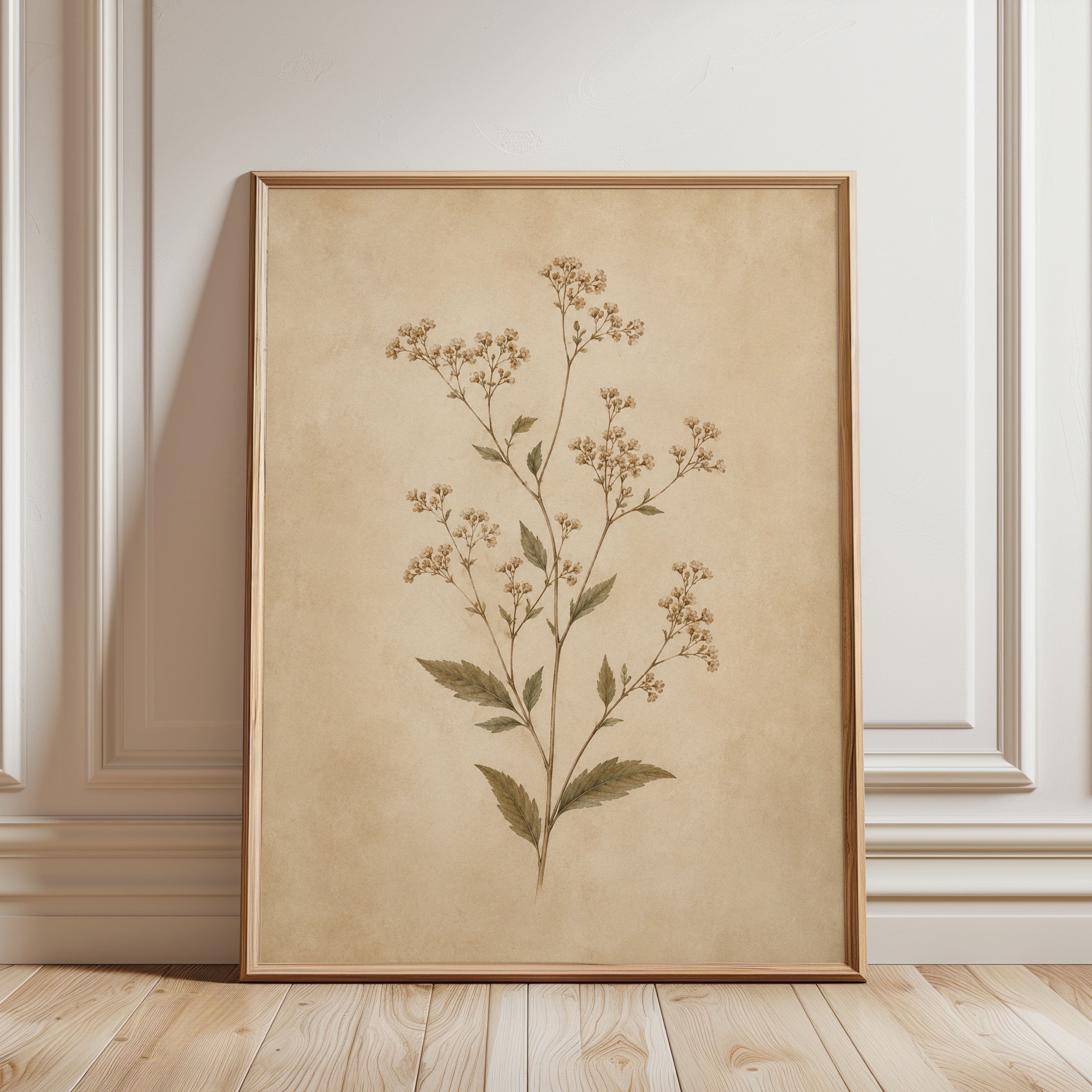 Pressed Botanical Print — Vintage Herbarium Specimen - framed detail