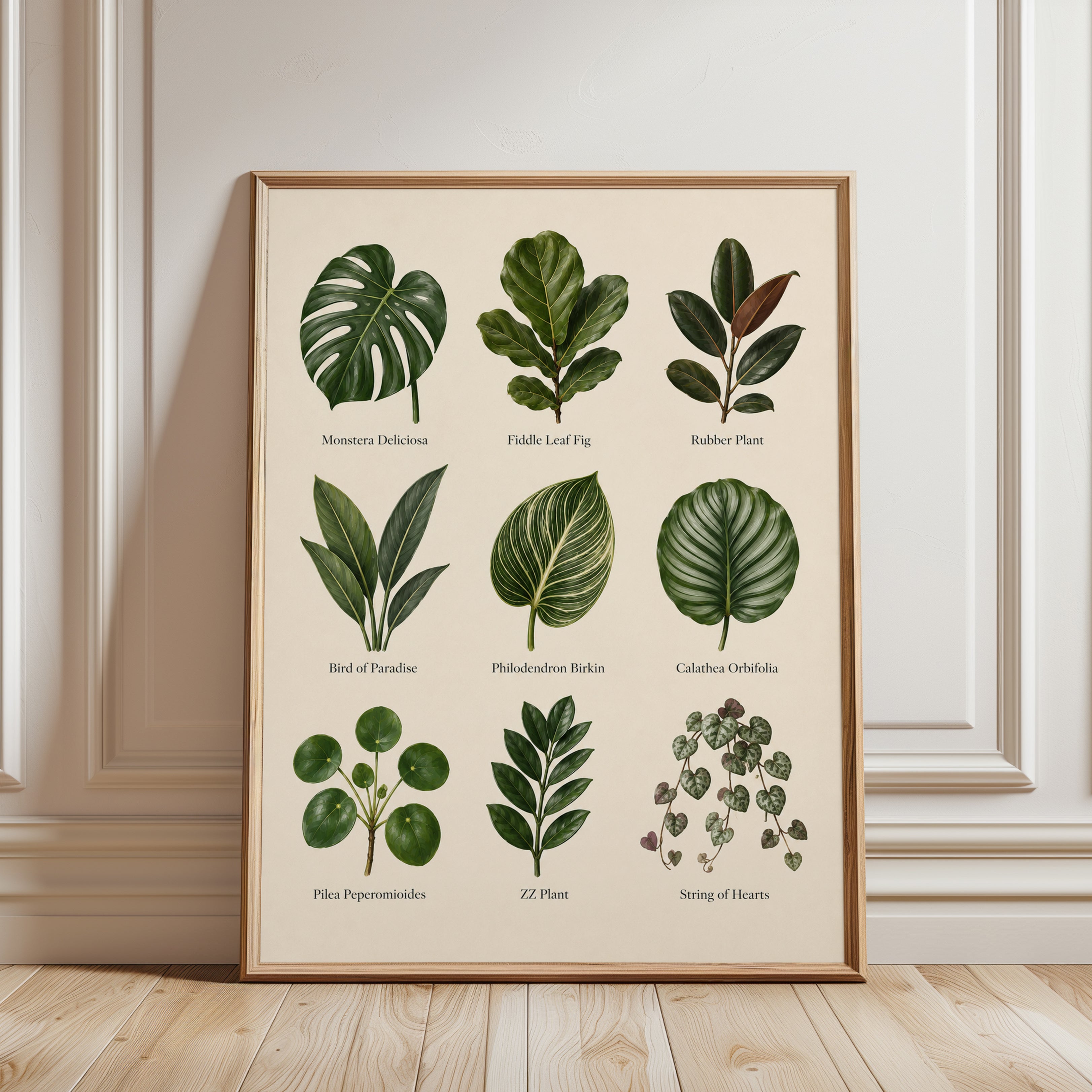 Houseplant Identification Poster - framed detail