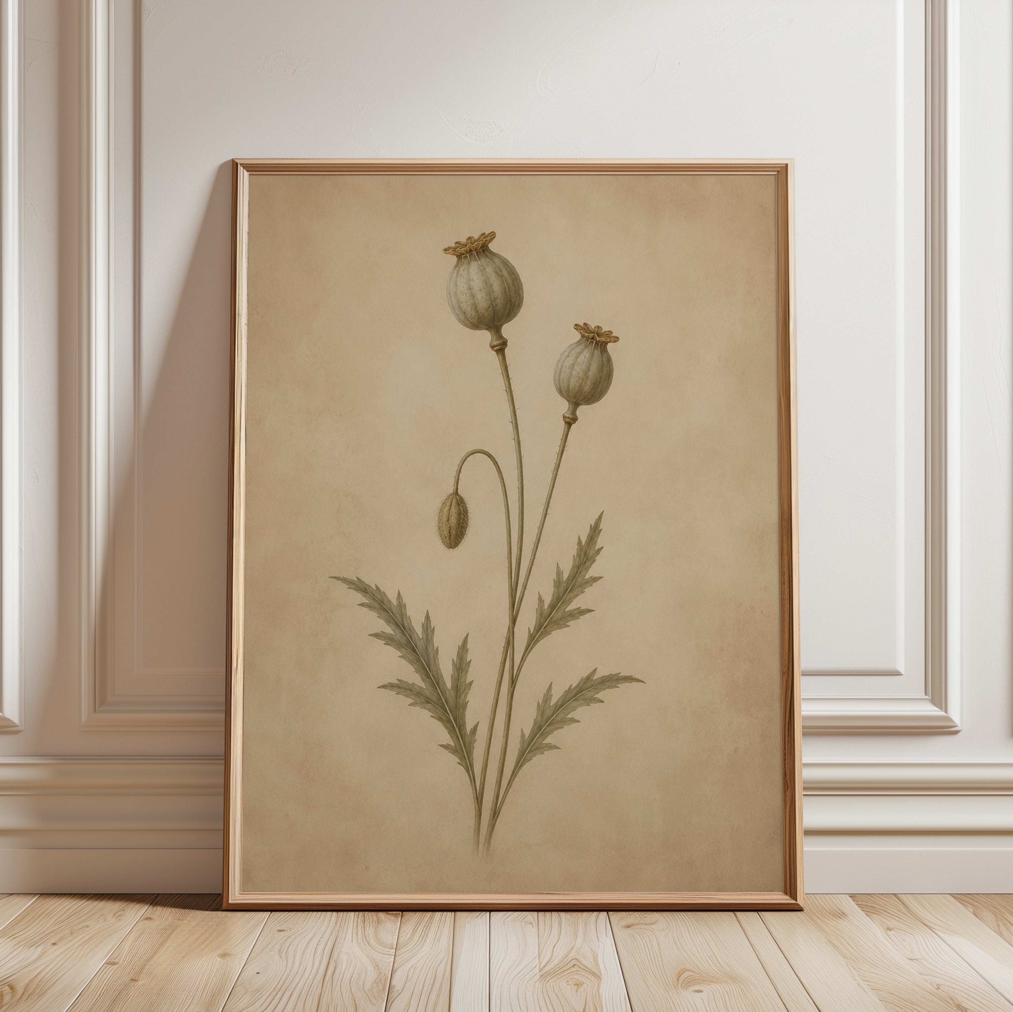 Poppy Seed Pods Botanical Print — Vintage Herbarium Illustration - framed detail