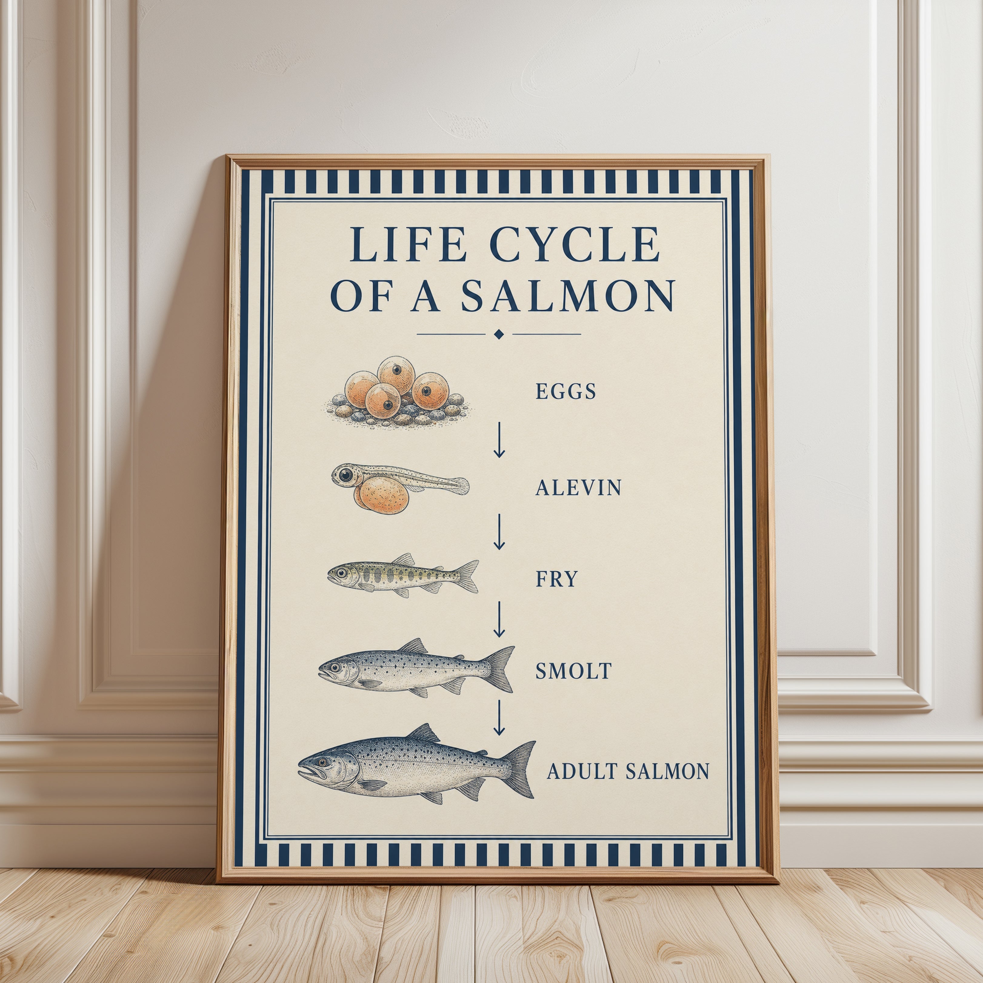 Salmon Life Cycle Poster – Educational Fish Print - framed detail