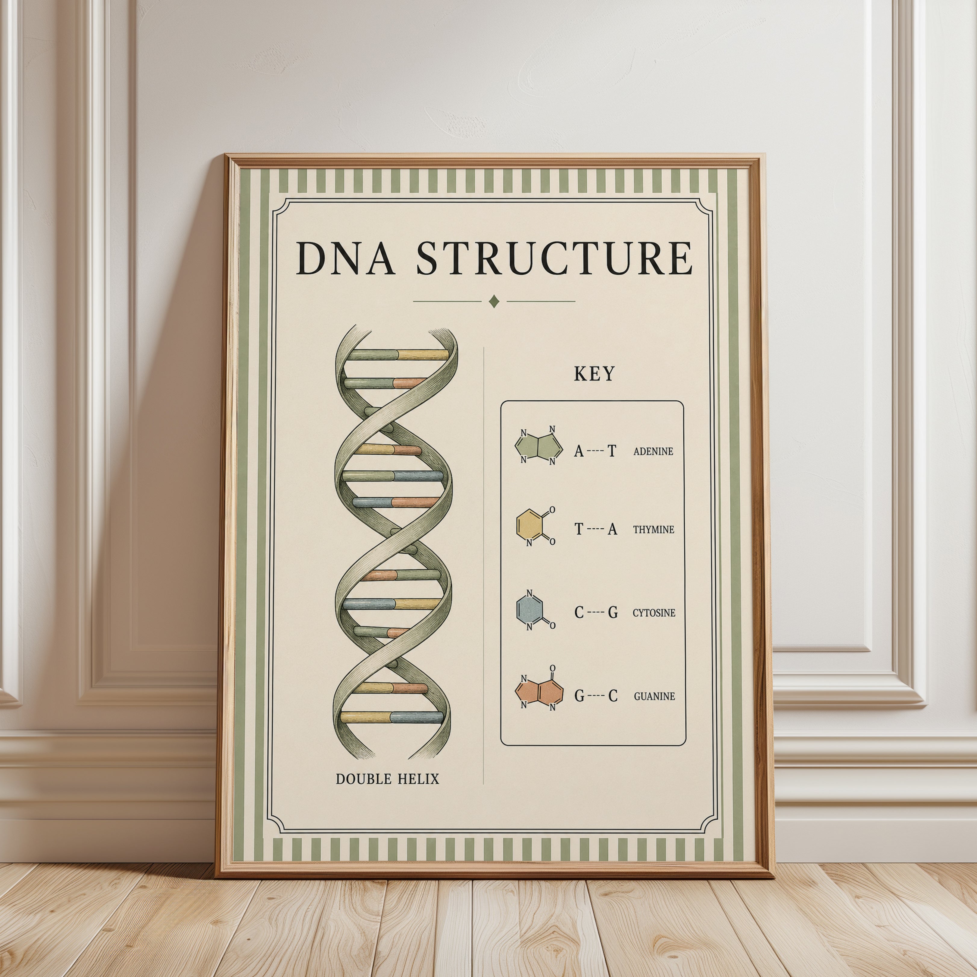 DNA Structure Poster – Science Wall Art - framed detail