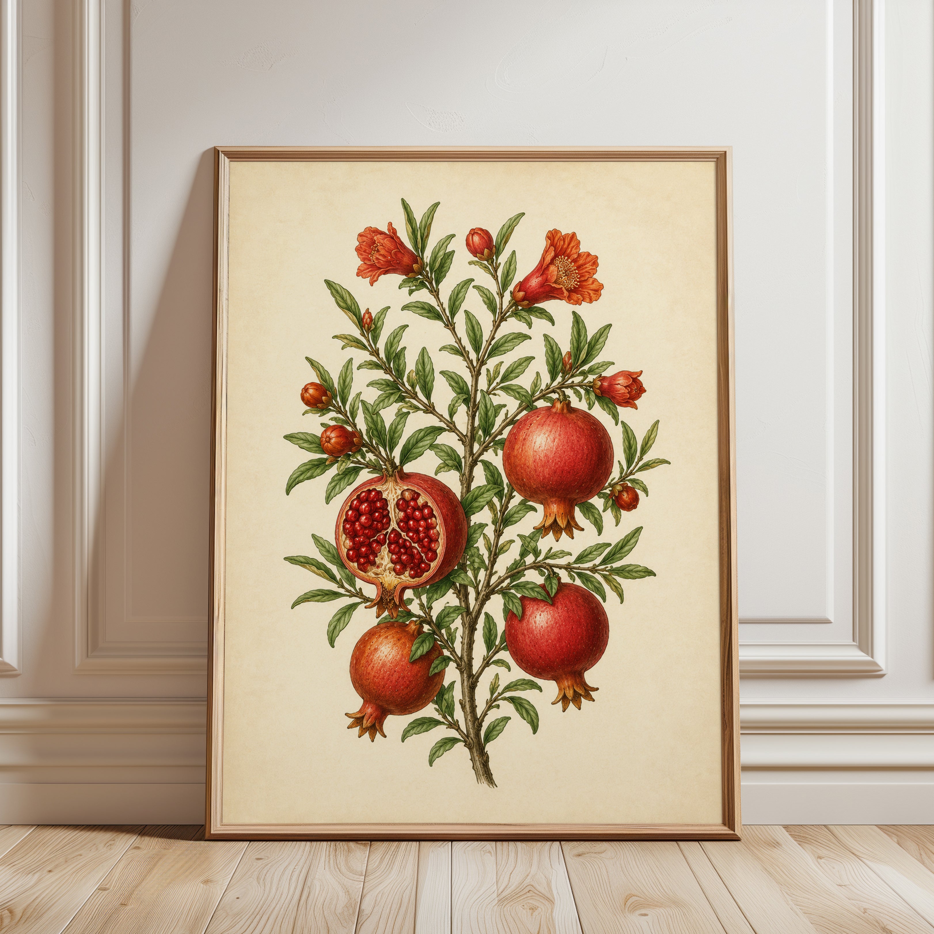Pomegranate Botanical Print: Vintage Scientific Illustration - framed detail