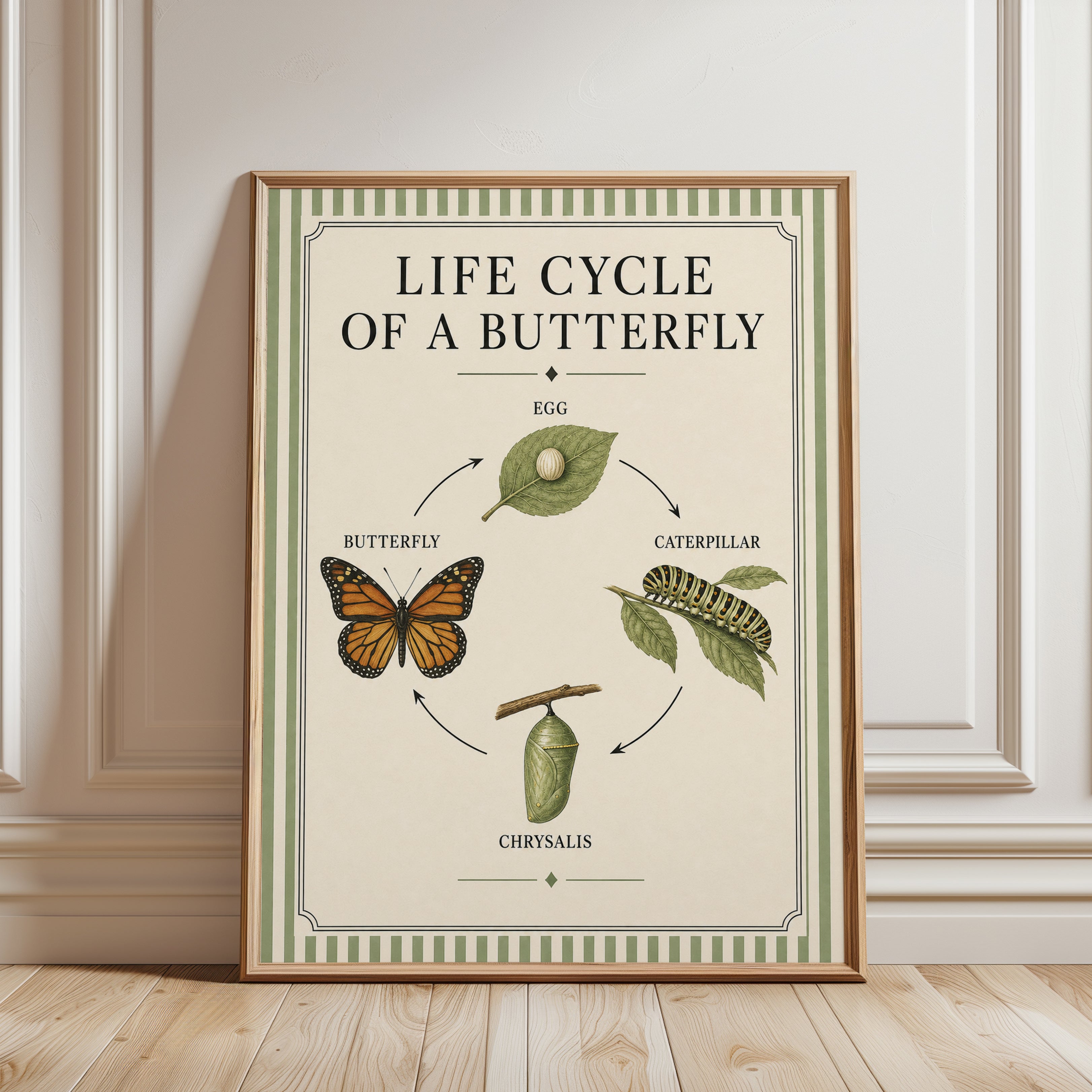 Butterfly Life Cycle Poster: Vintage Educational Art Print - framed detail