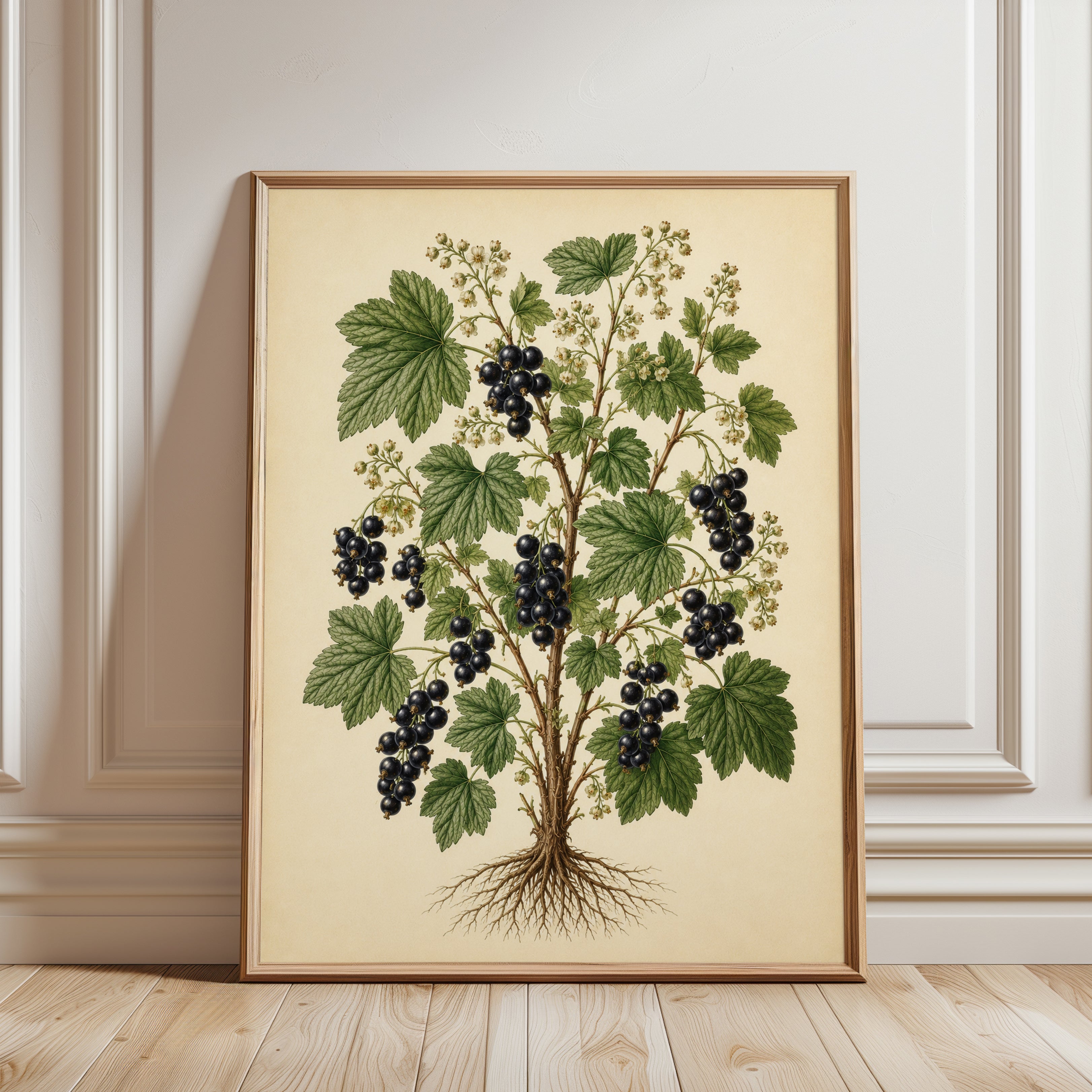 Blackcurrant Botanical Print — Vintage Fruit Illustration - framed detail