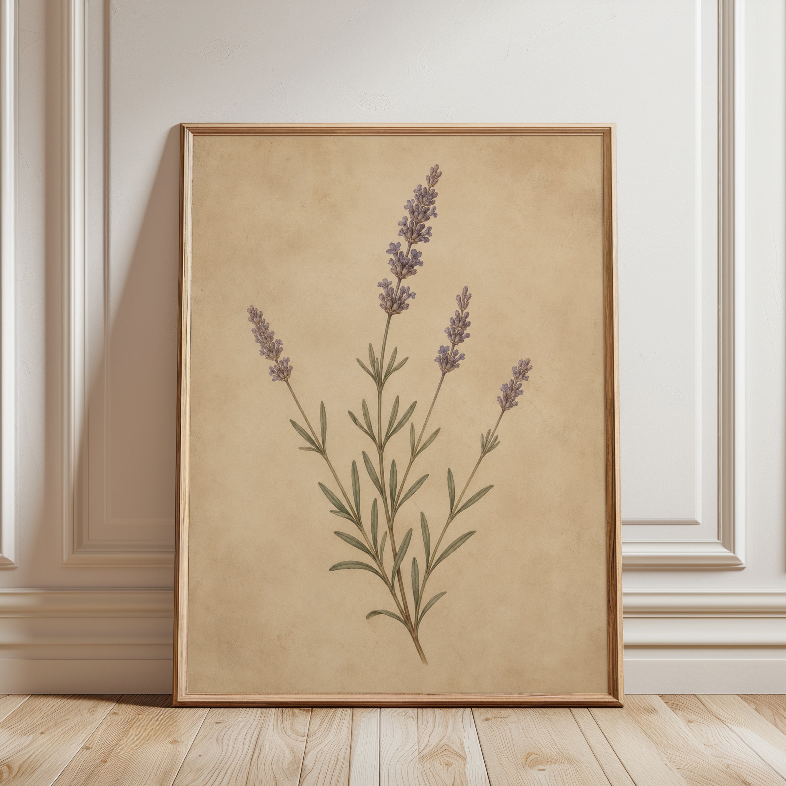 Lavender Botanical Print — Vintage Pressed Flower Illustration - framed detail