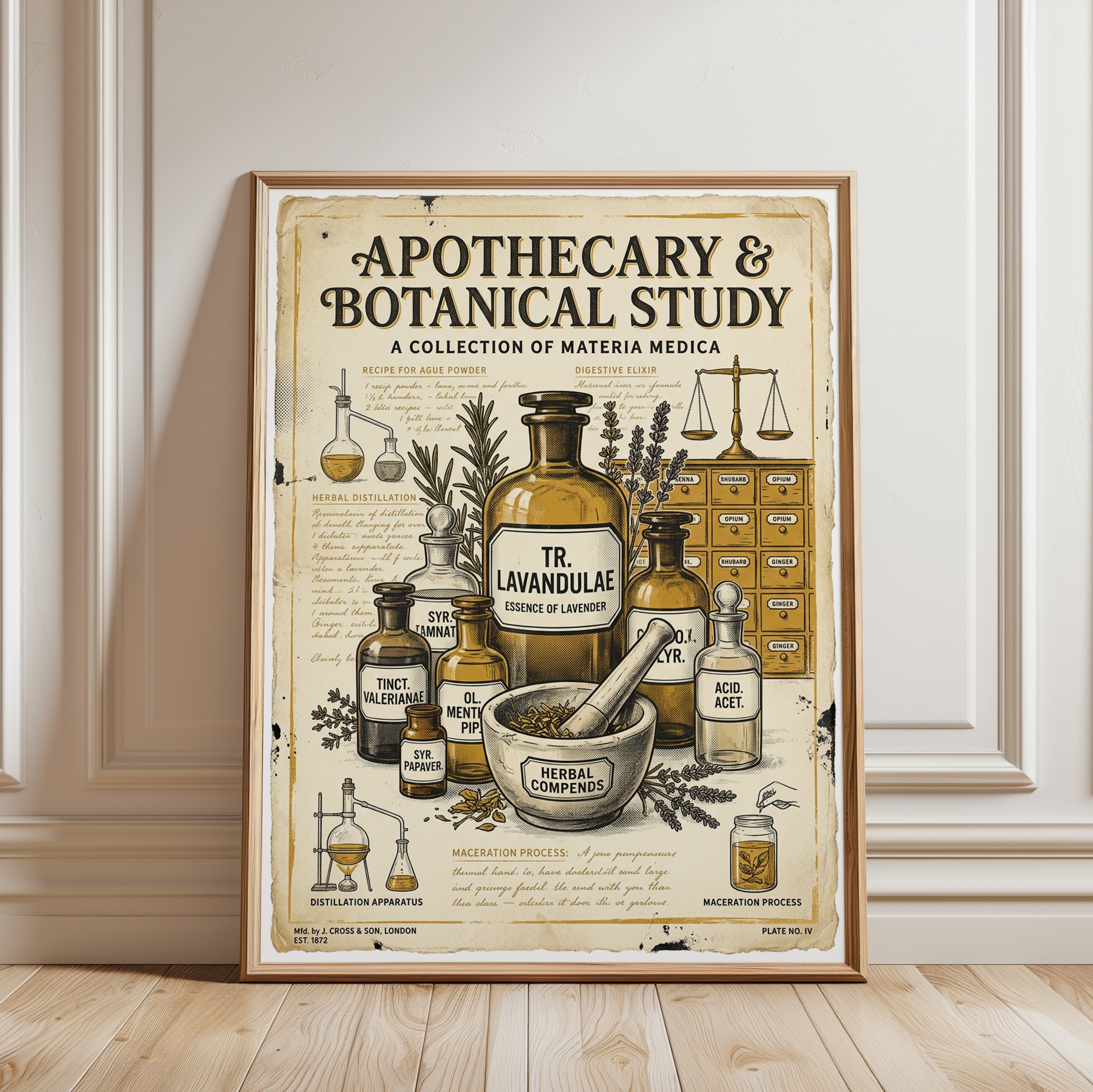 Apothecary Botanical Study Poster: Vintage Medicinal Herbs Art - framed detail