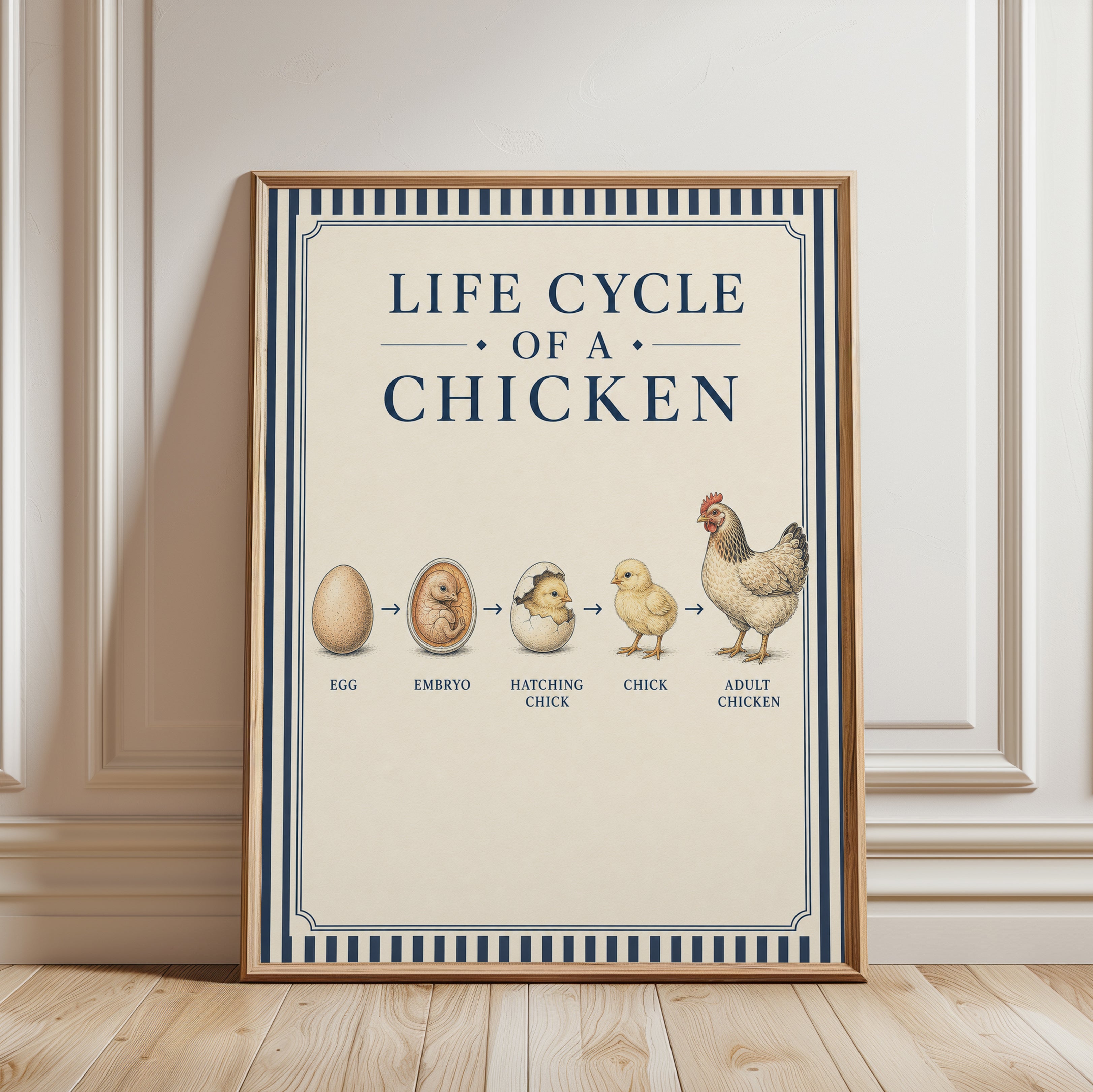 Life Cycle of a Chicken Art Print: Vintage Educational Poster - framed detail