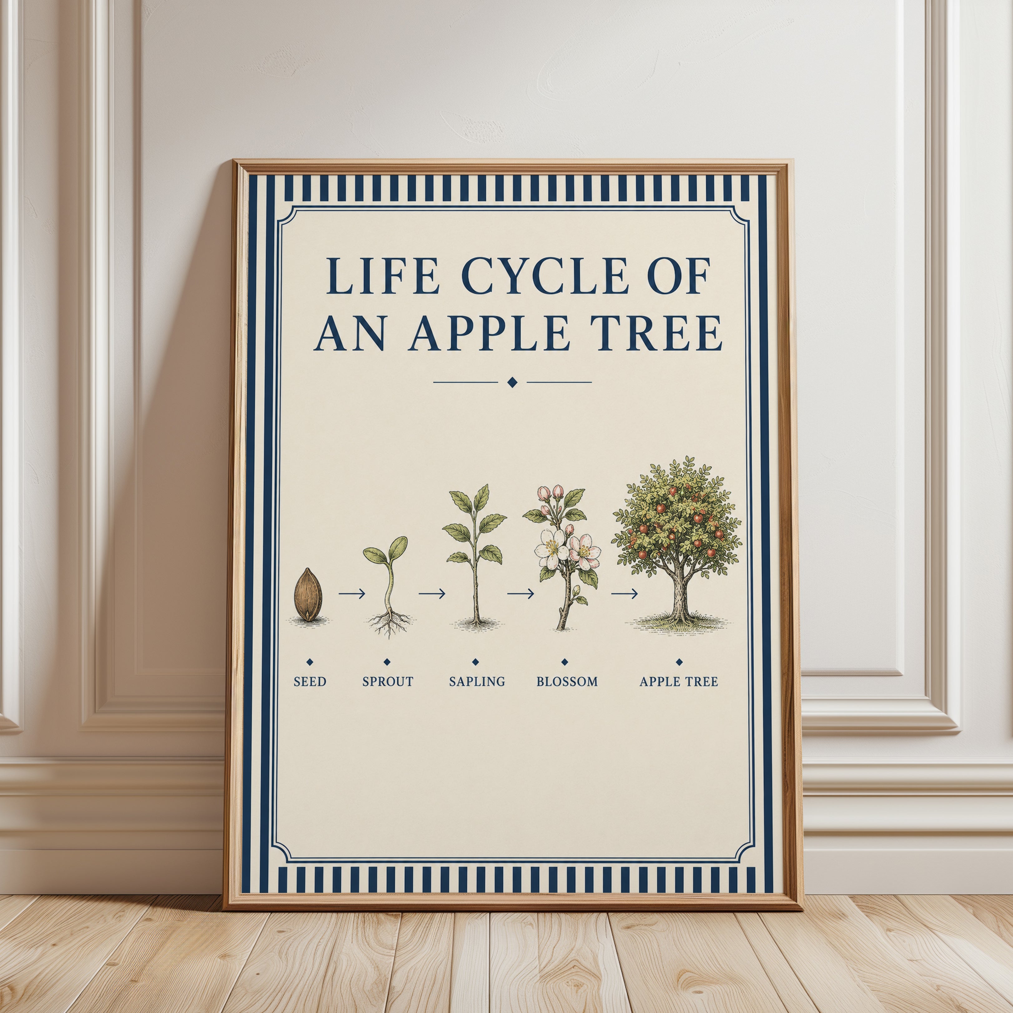 Life Cycle Poster - framed detail