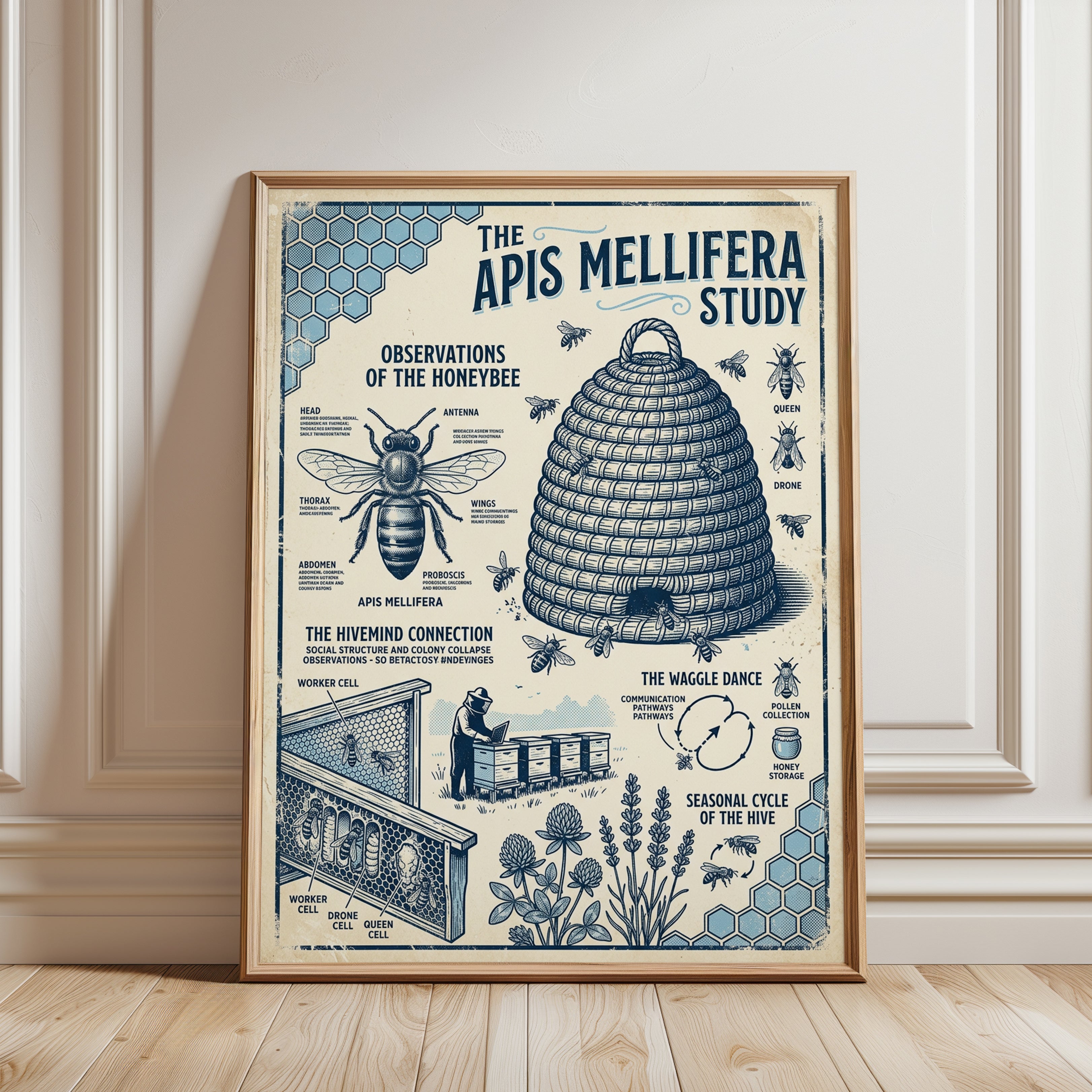 Vintage Honeybee Study Poster: Scientific Beekeeping Diagram Art - framed detail