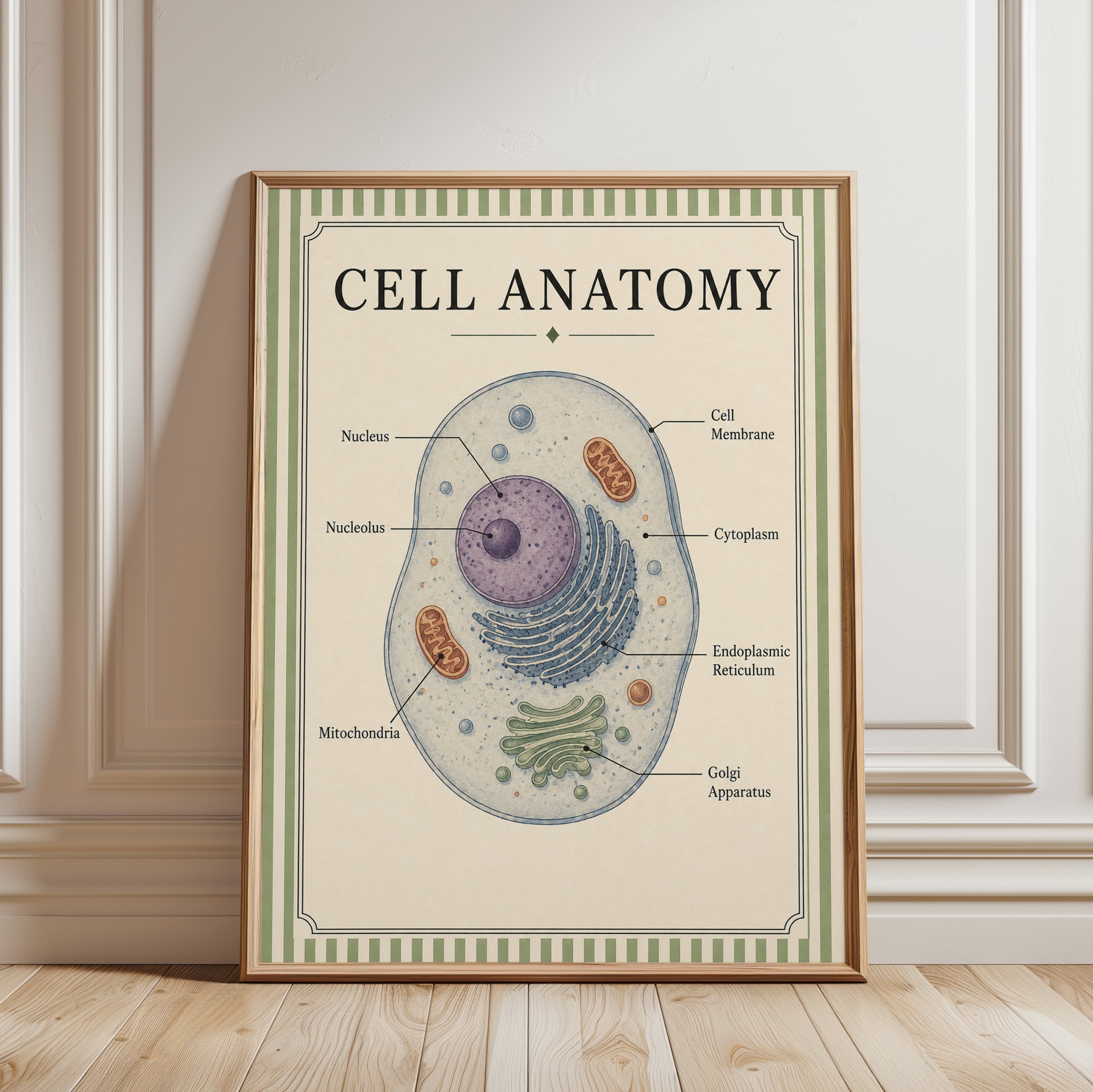 Cell Anatomy Poster – Biology Classroom Decor - framed detail