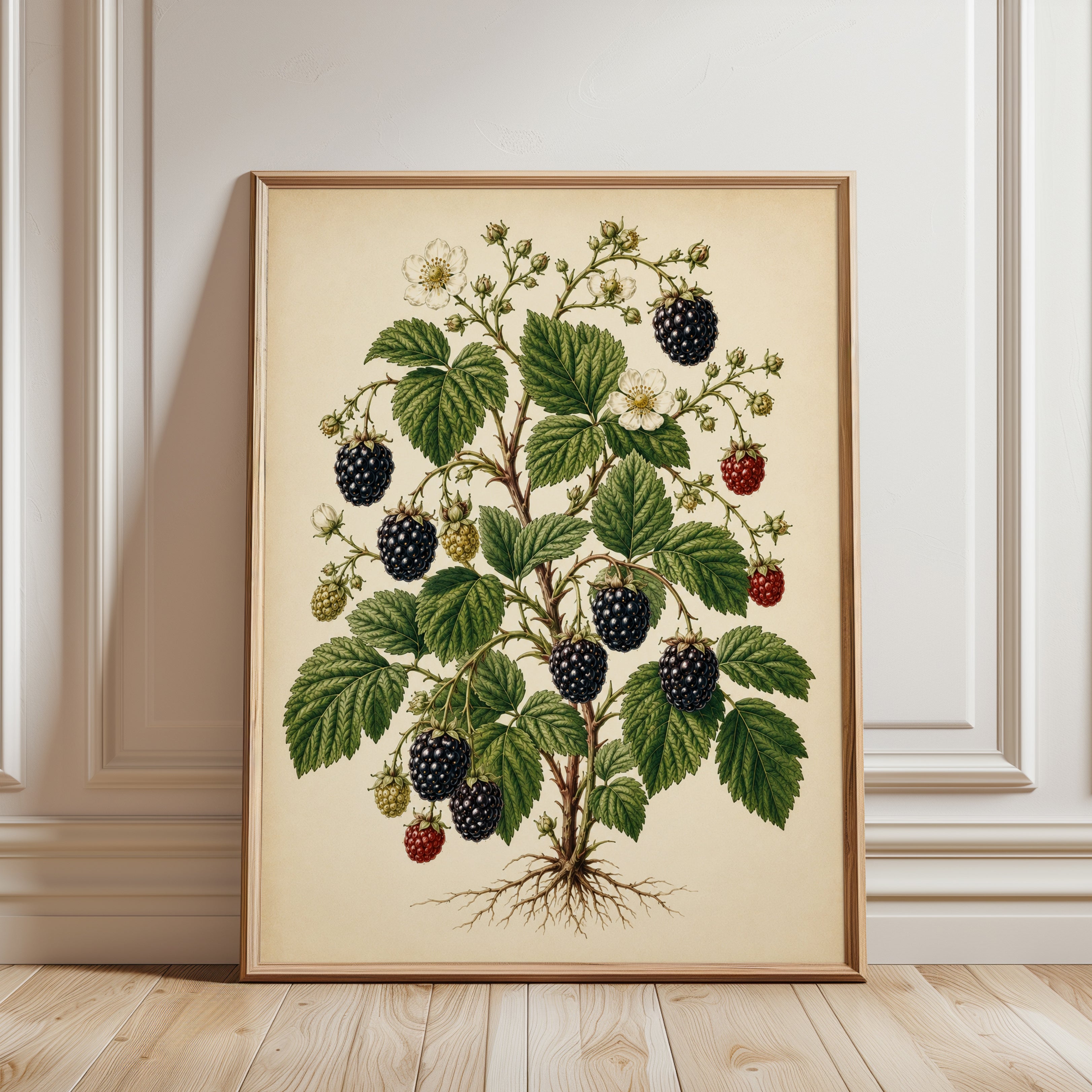 Blackberry Botanical Print — Vintage Berry Illustration - framed detail
