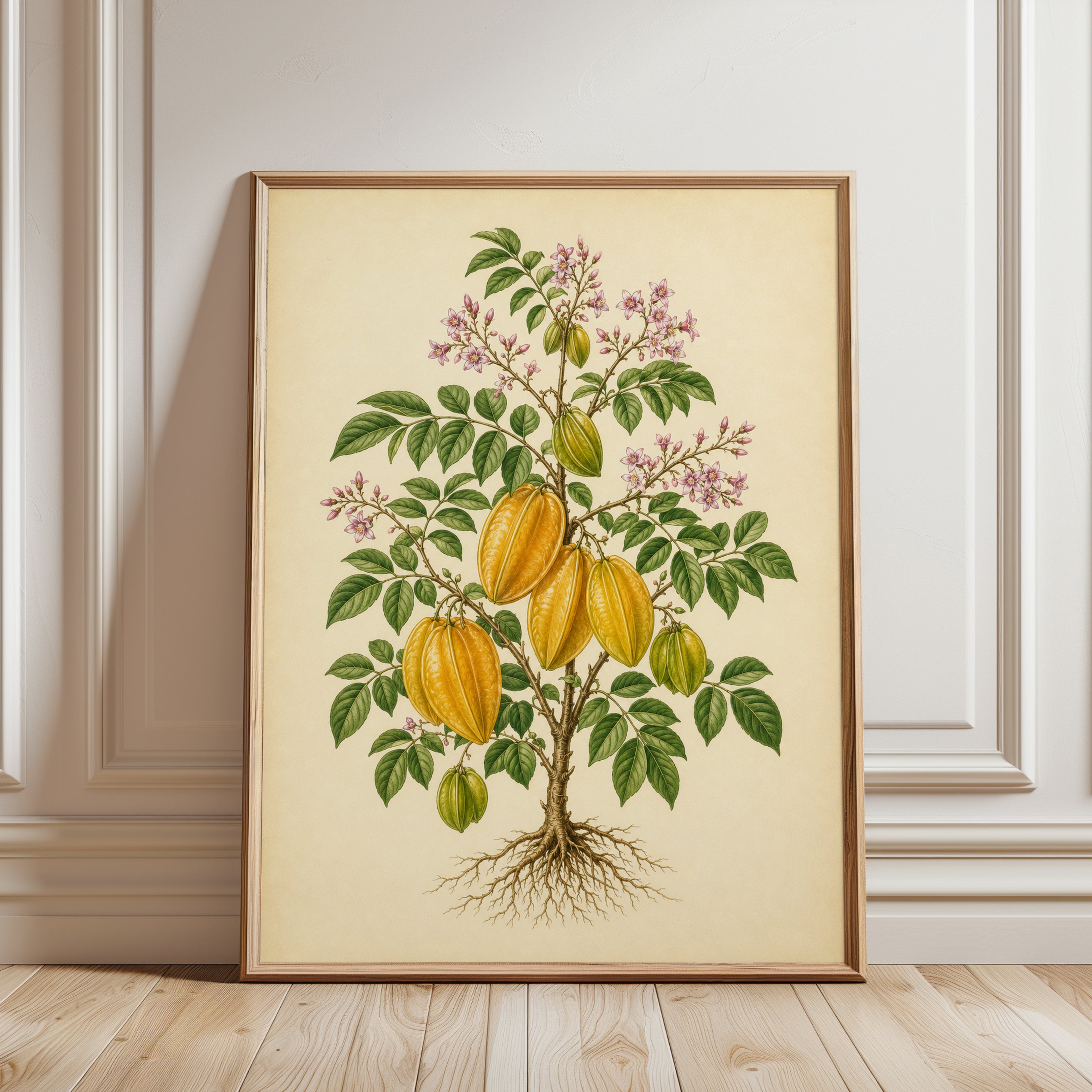 Botanical Starfruit Print — Vintage Tropical Fruit Illustration - framed detail