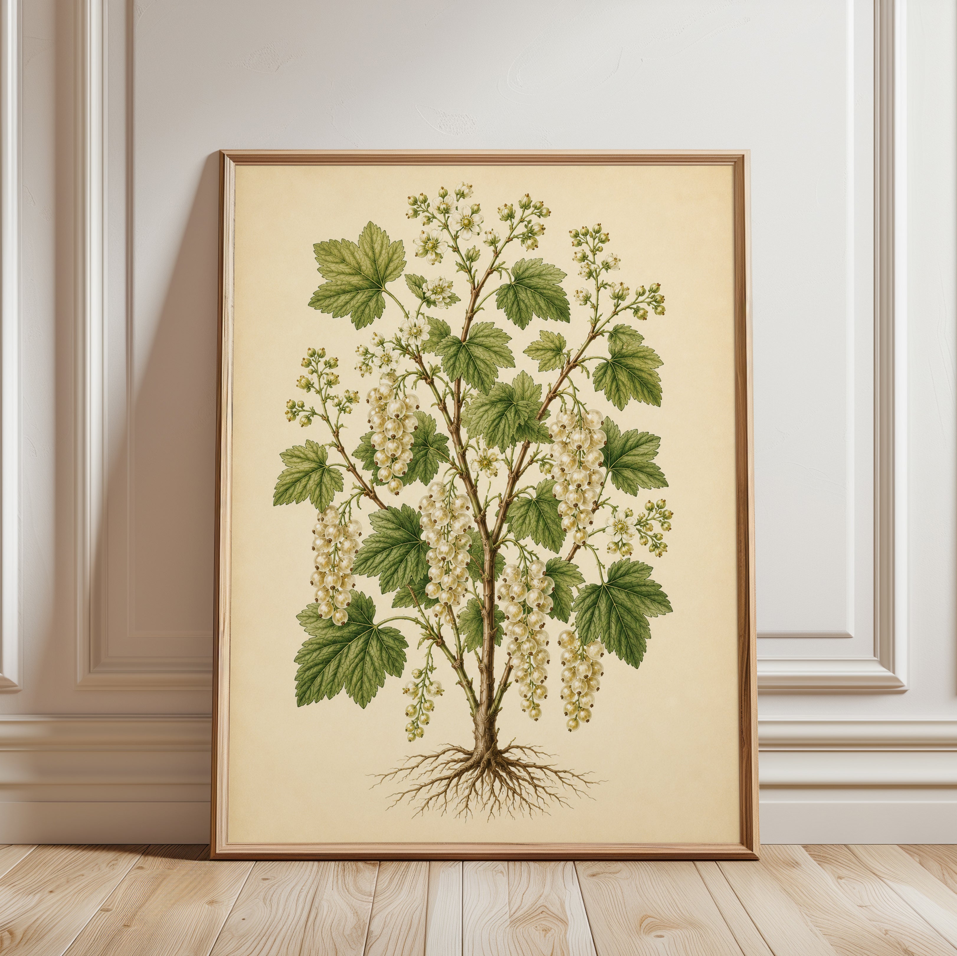 White Currant Botanical Print: Vintage Plant Illustration - framed detail