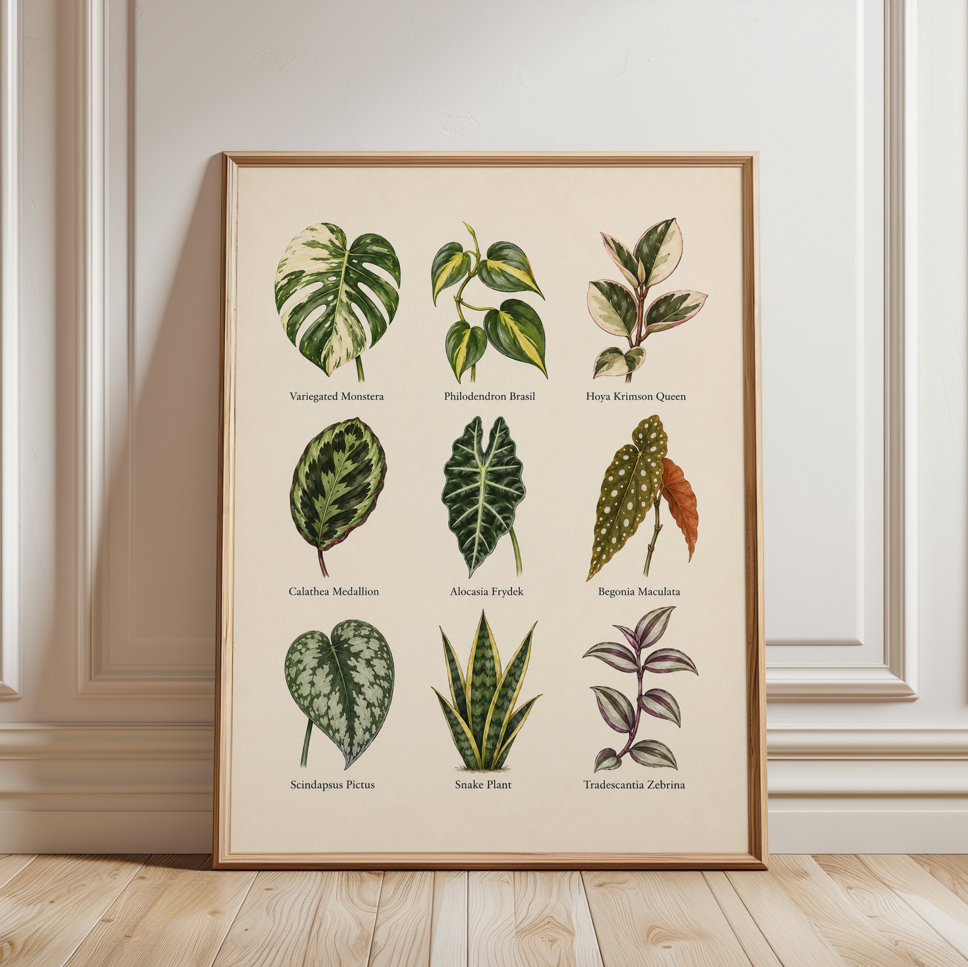 Houseplant Chart Poster – Botanical Wall Art - framed detail