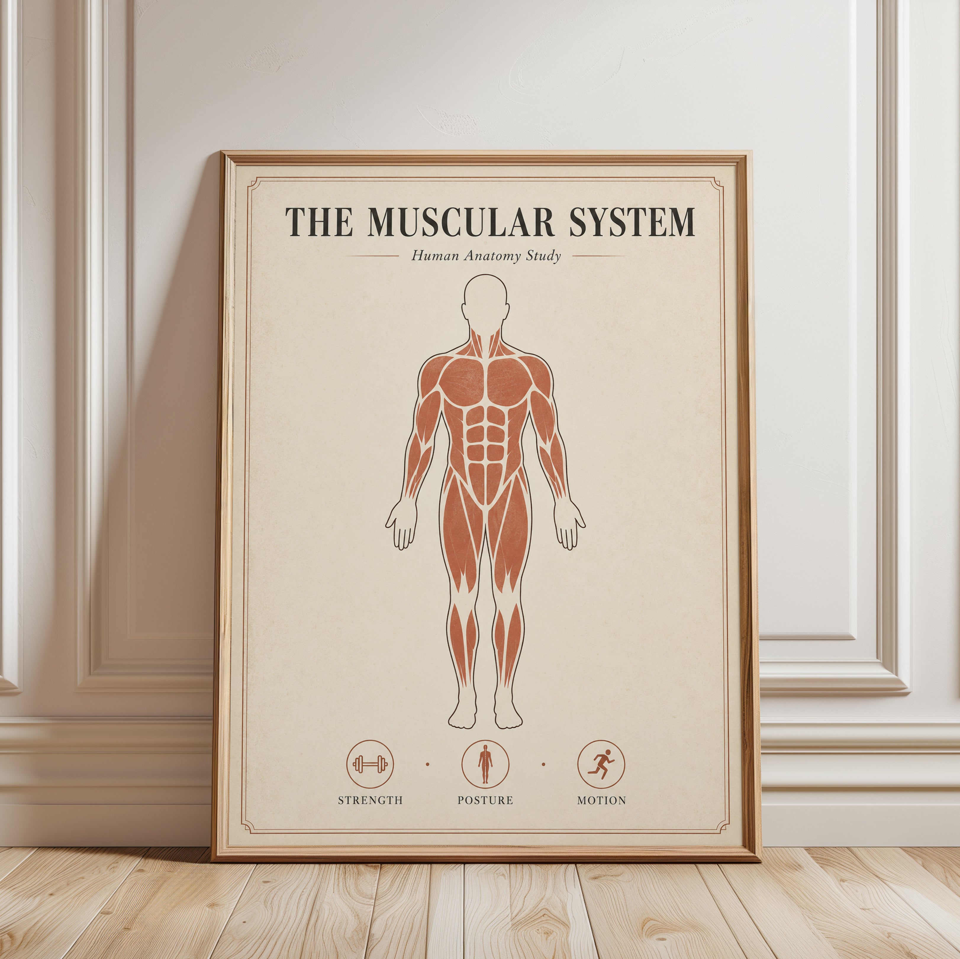 Muscular System Anatomy Print — Human Body Study Chart - framed detail