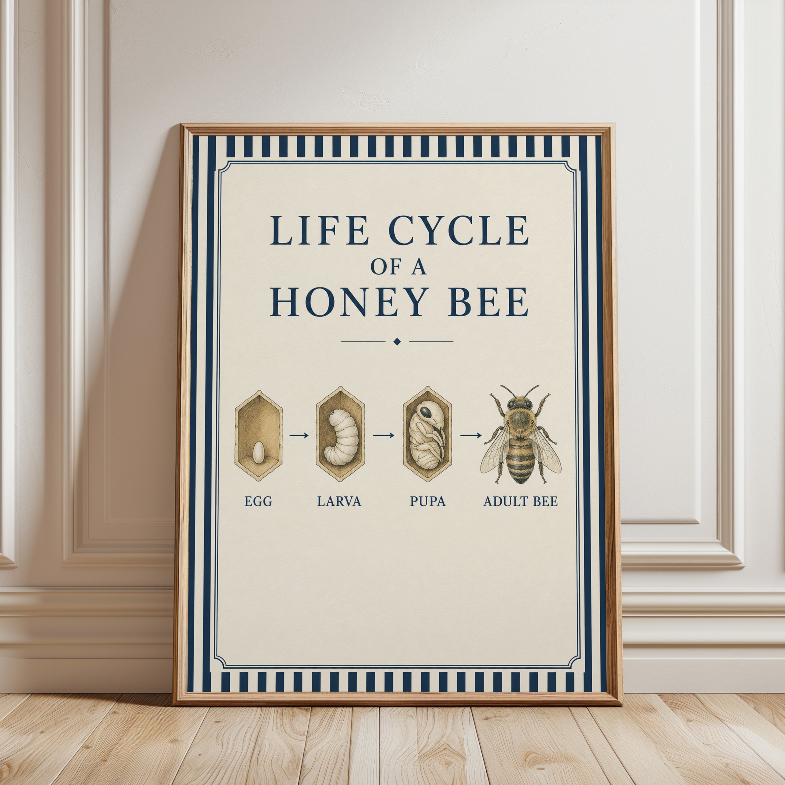 Honey Bee Life Cycle Print: Vintage Educational Diagram Art - framed detail
