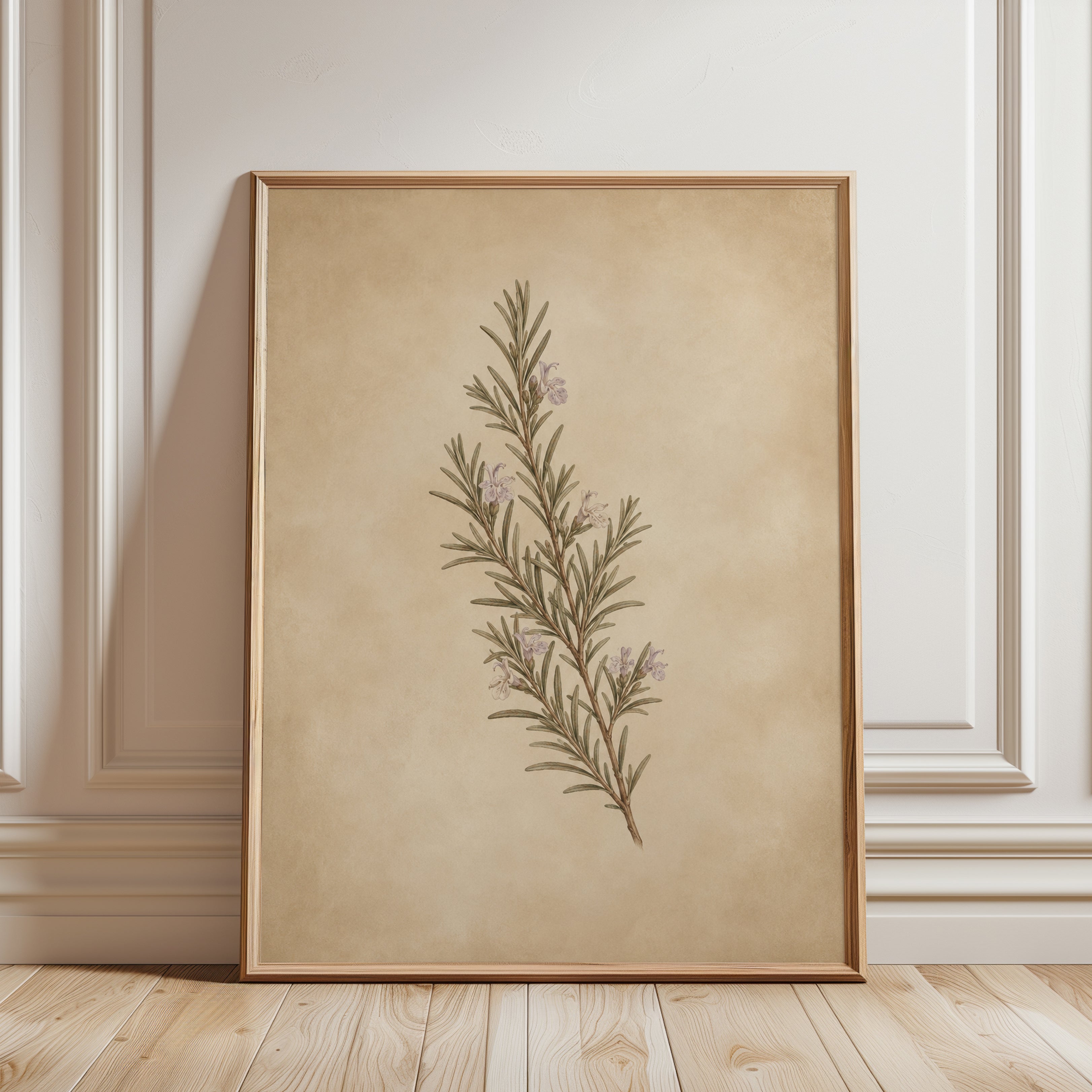 Rosemary Botanical Print — Vintage Herbal Illustration - framed detail