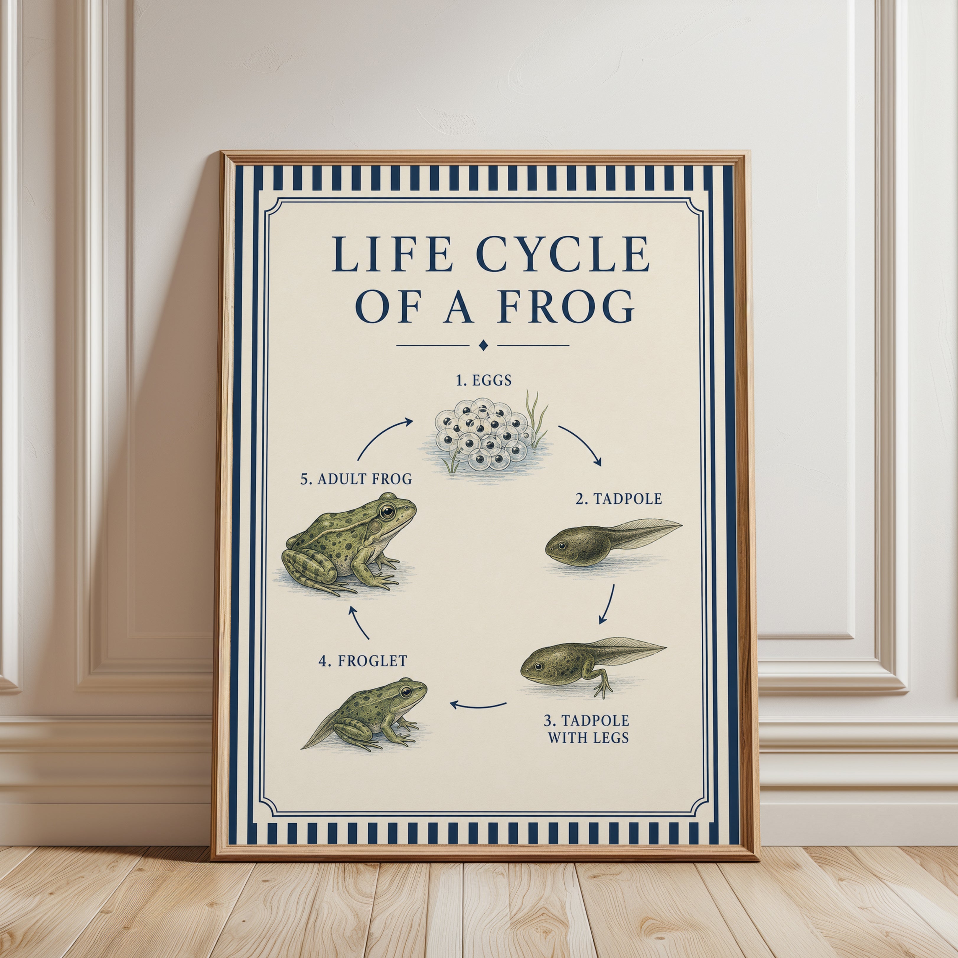 Frog Life Cycle Poster - framed detail