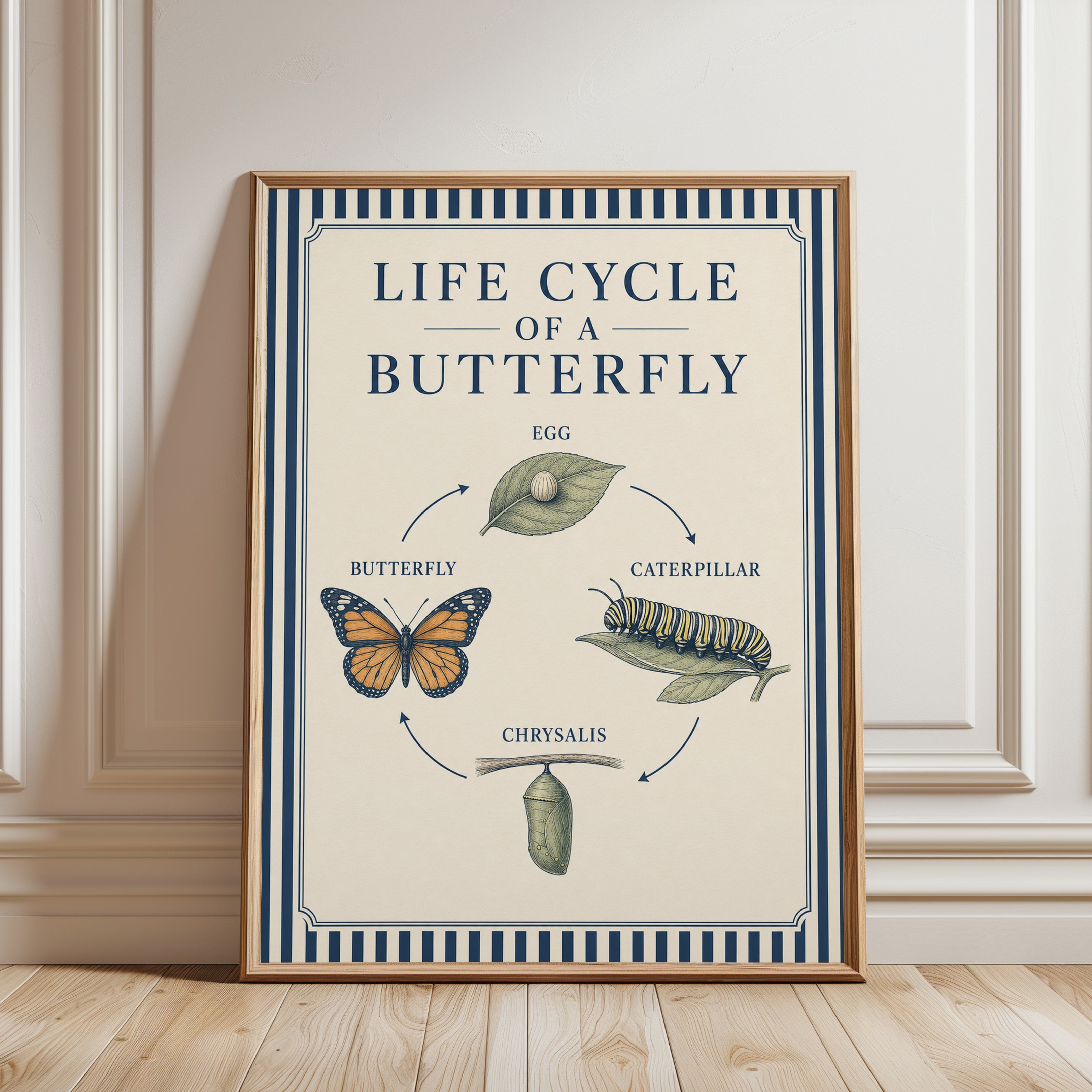 Butterfly Life Cycle Poster - framed detail