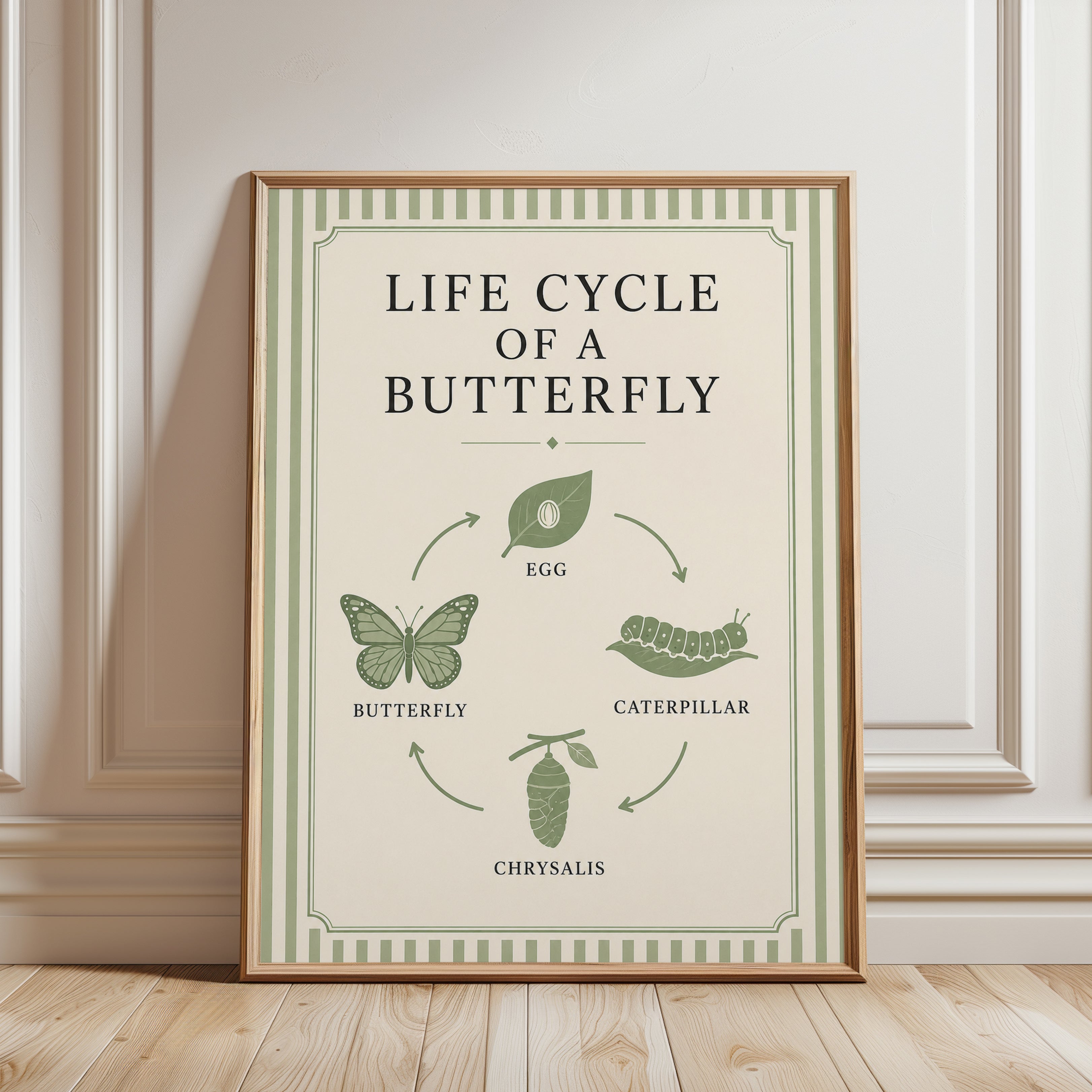 Butterfly Life Cycle Poster - framed detail