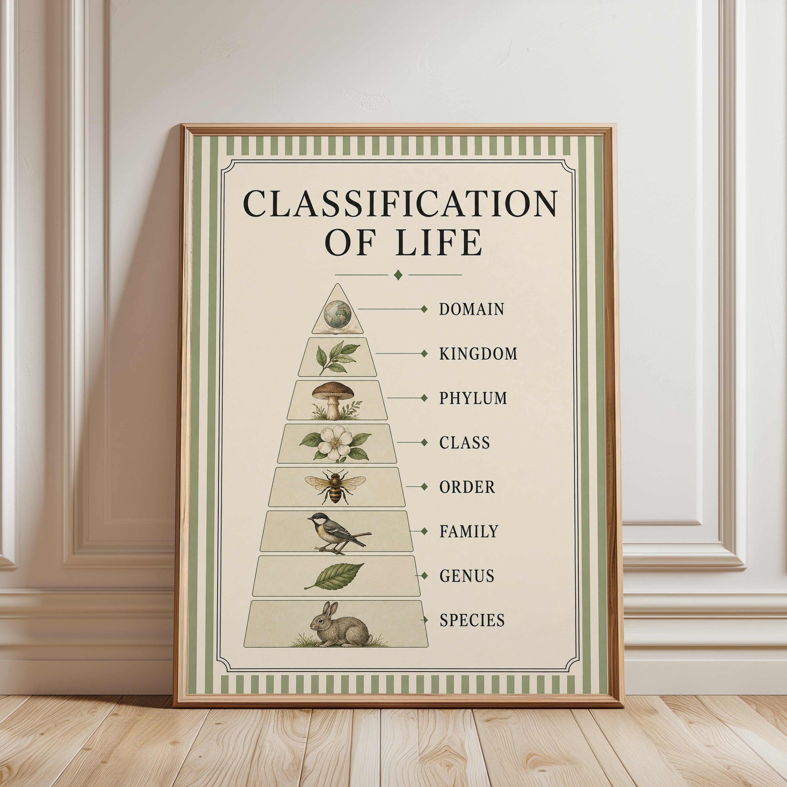 Biology Classroom Poster - framed detail