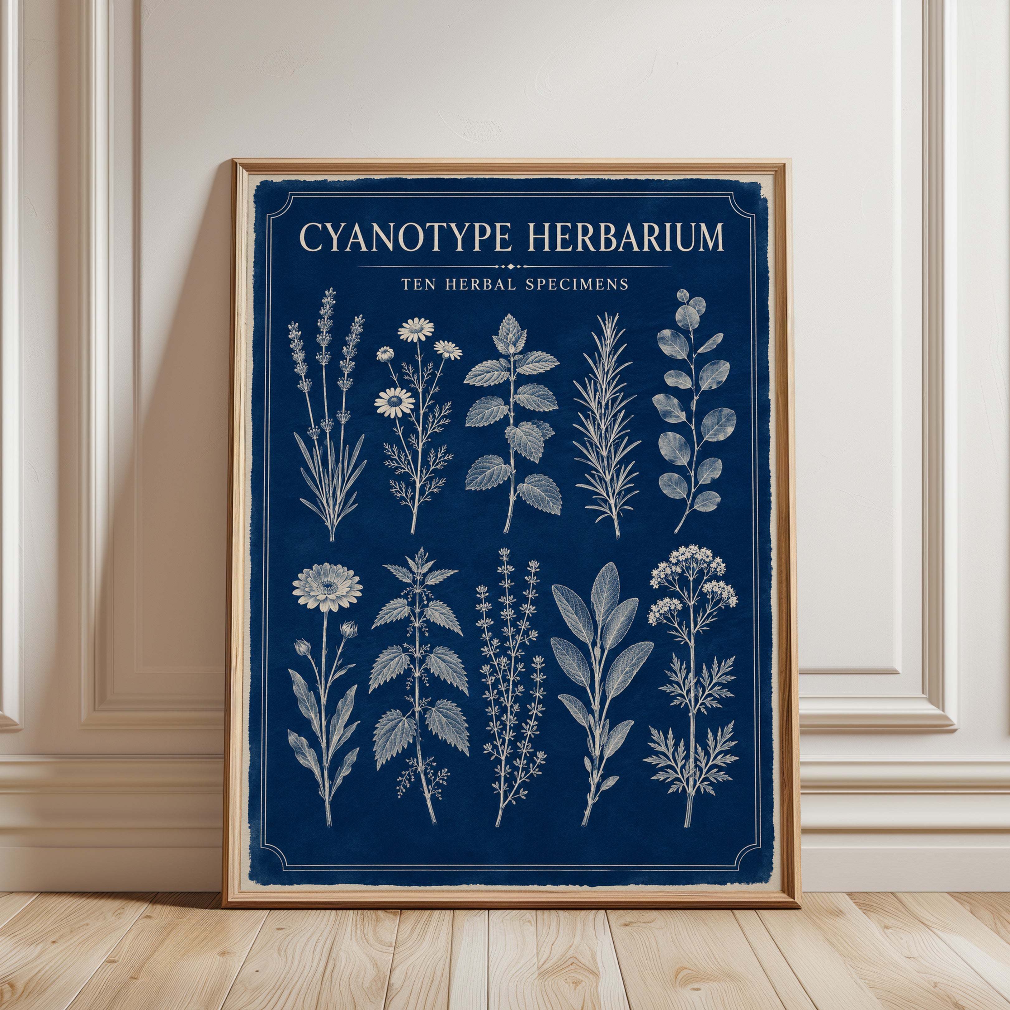 Cyanotype Botanical Print - framed detail