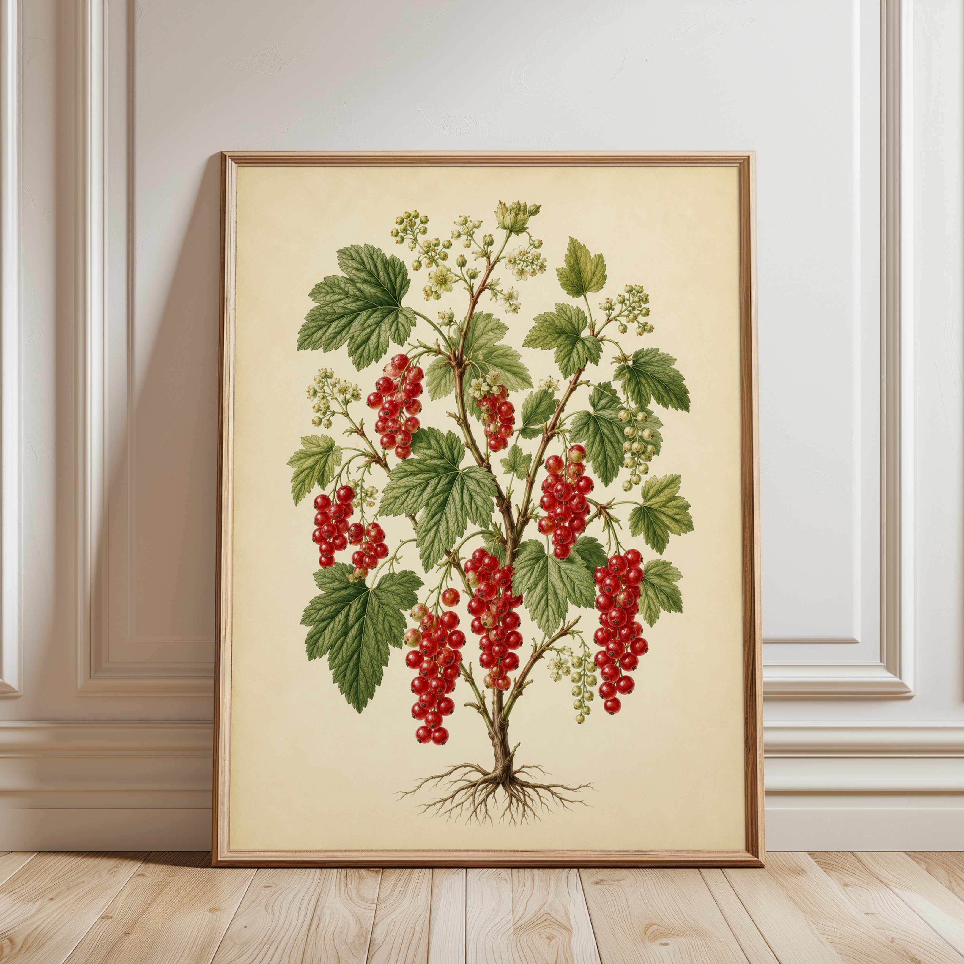 Red Currant Botanical Print — Vintage Fruit Illustration - framed detail