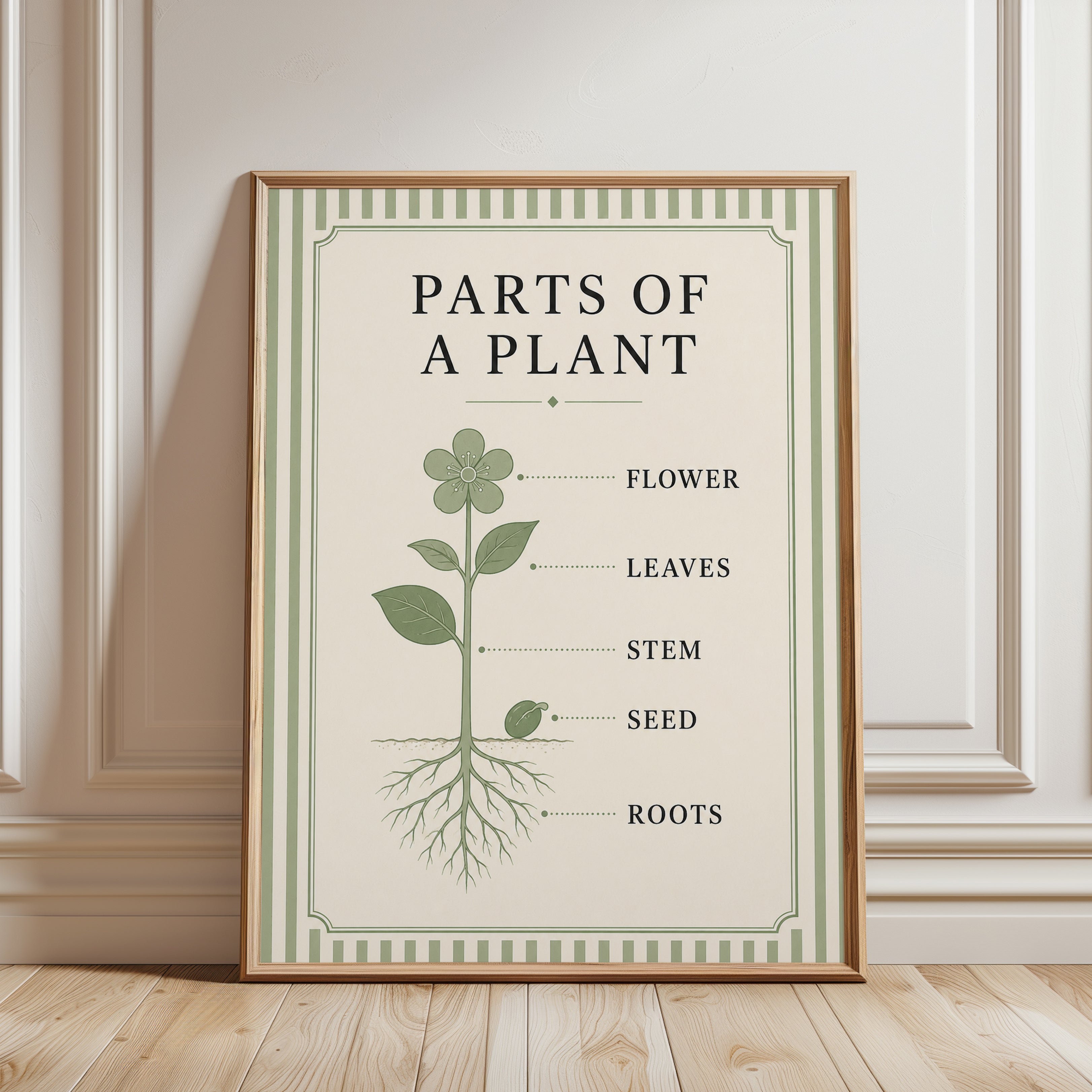 Parts of a Plant Botanical Diagram: Vintage Educational Poster - framed detail