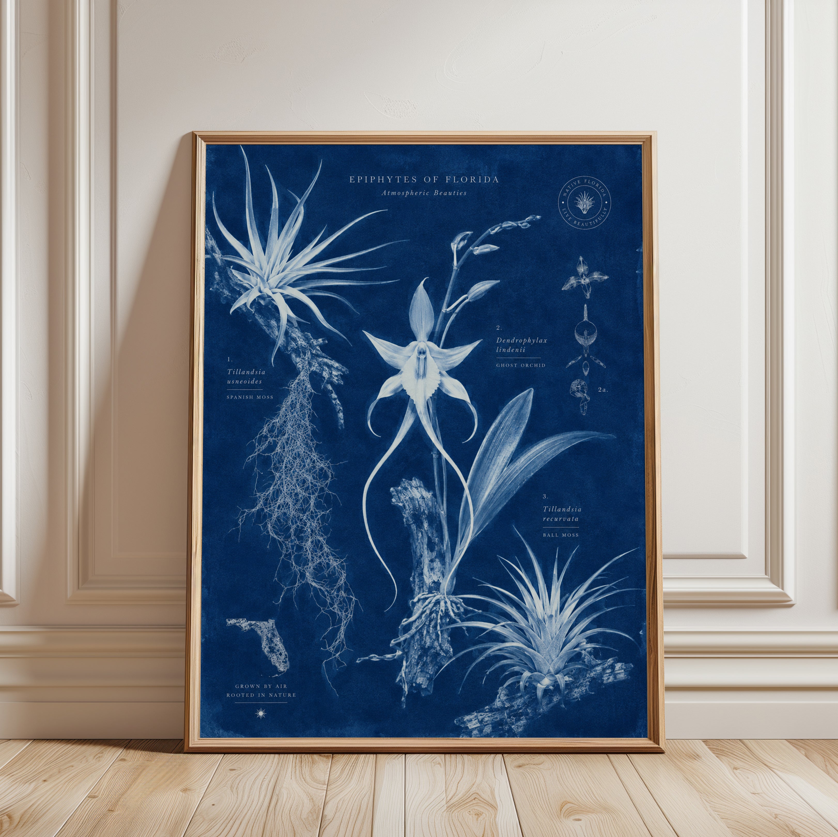 Botanical Wall Art – Botanical Chart Print - framed detail
