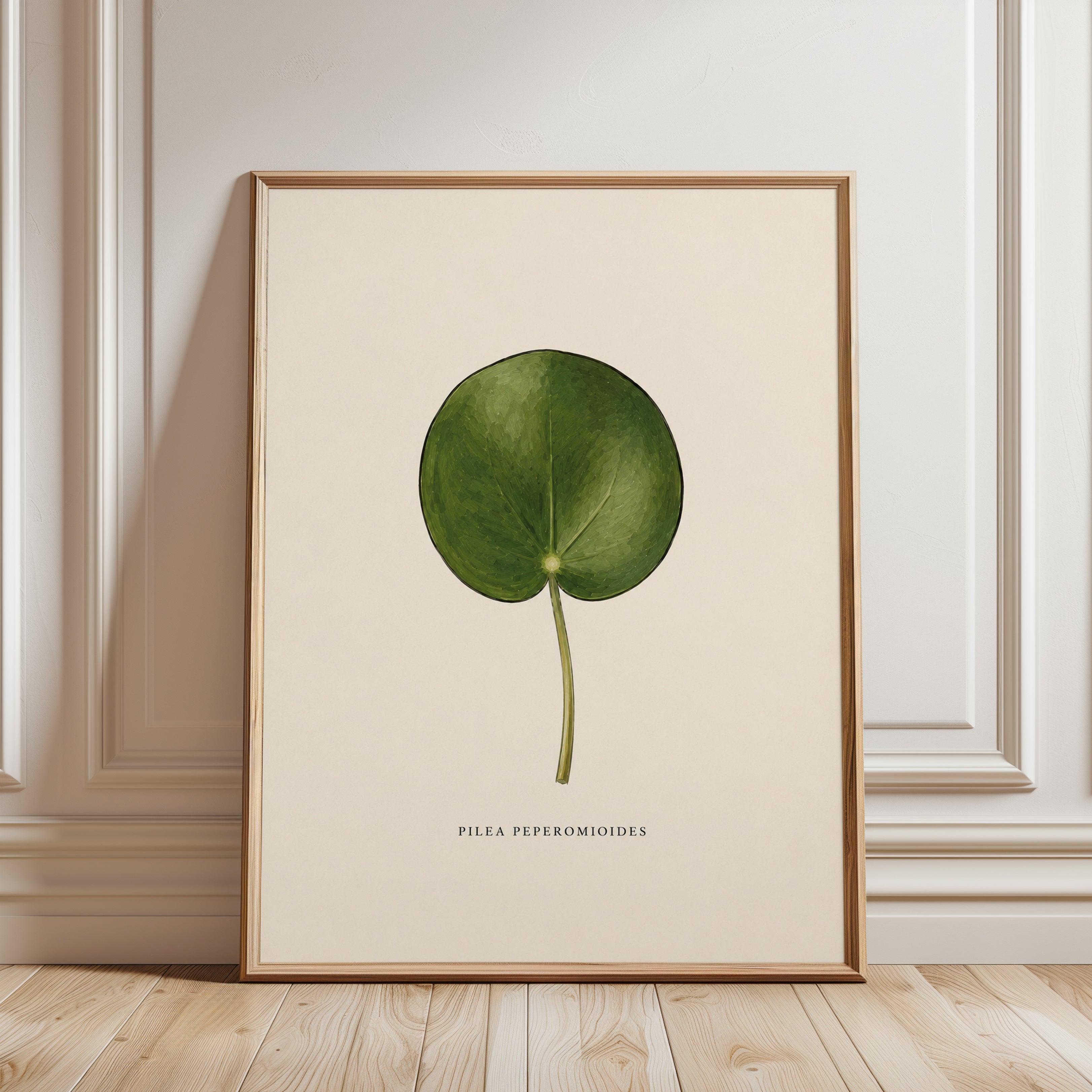 Pilea Peperomioides Botanical Print: Vintage Green Leaf Art - framed detail