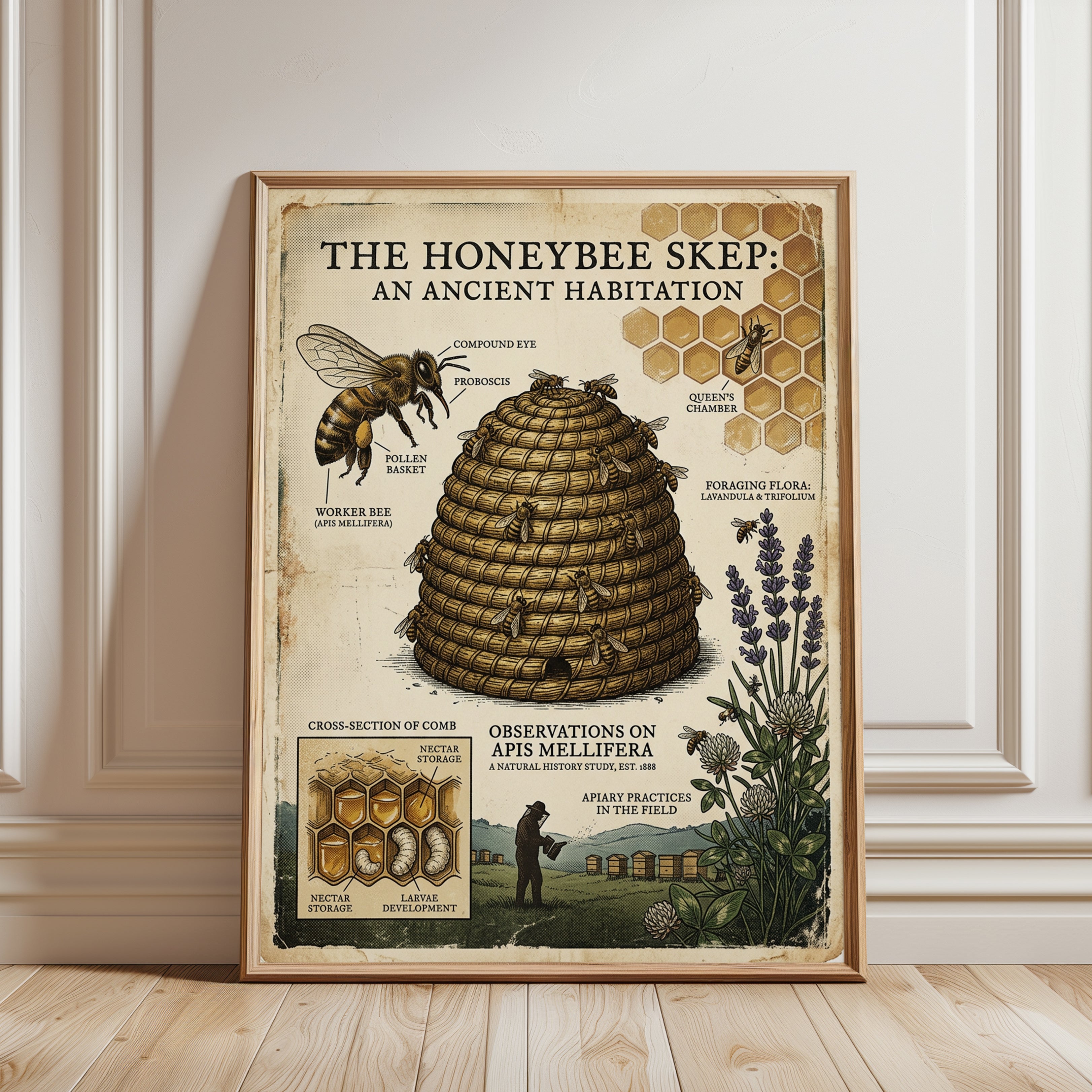 Honeybee Skep Diagram Art Print: Vintage Natural History Poster - framed detail