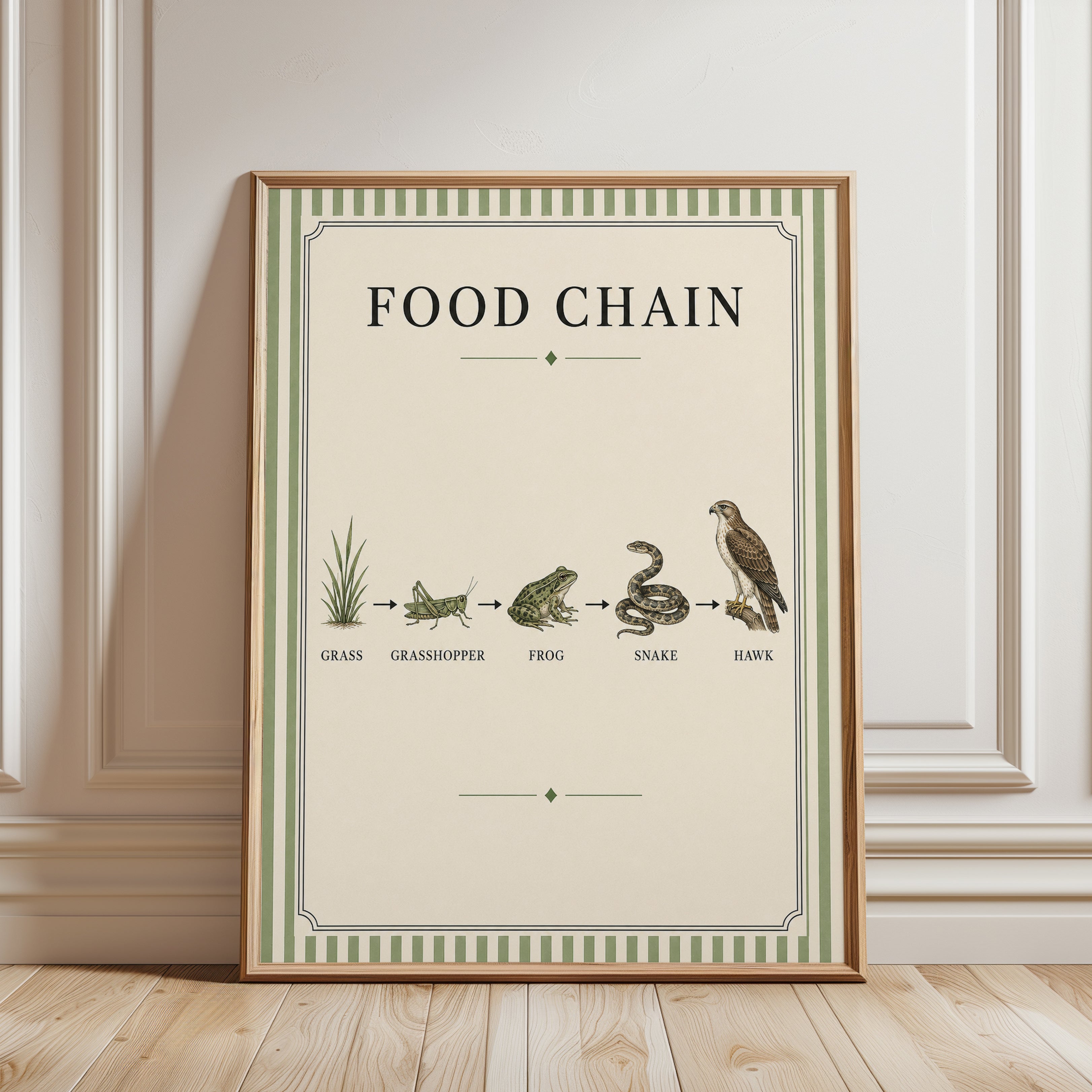 Food Chain Diagram Print: Vintage Natural History Wall Art - framed detail