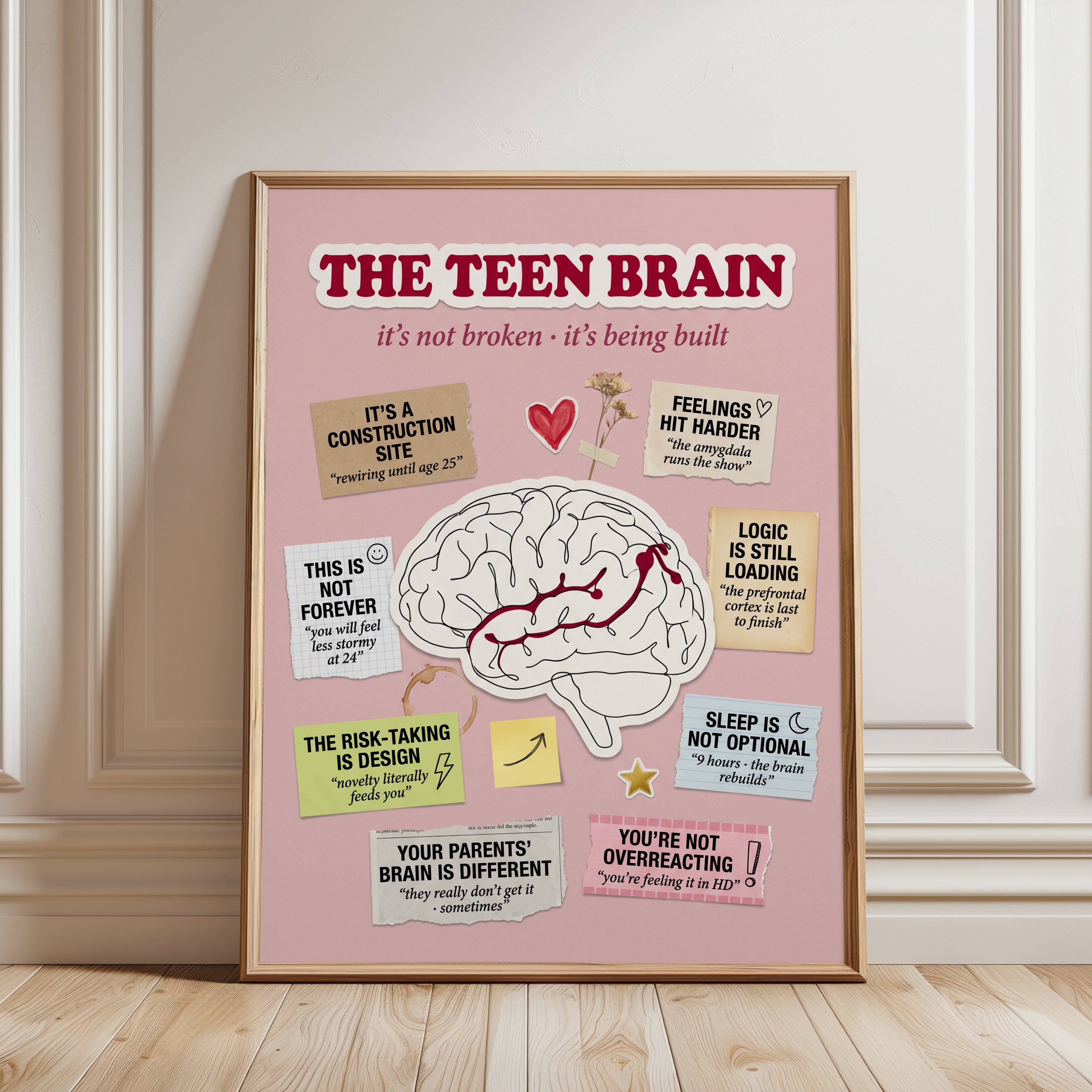 Teen Brain Educational Poster - framed detail