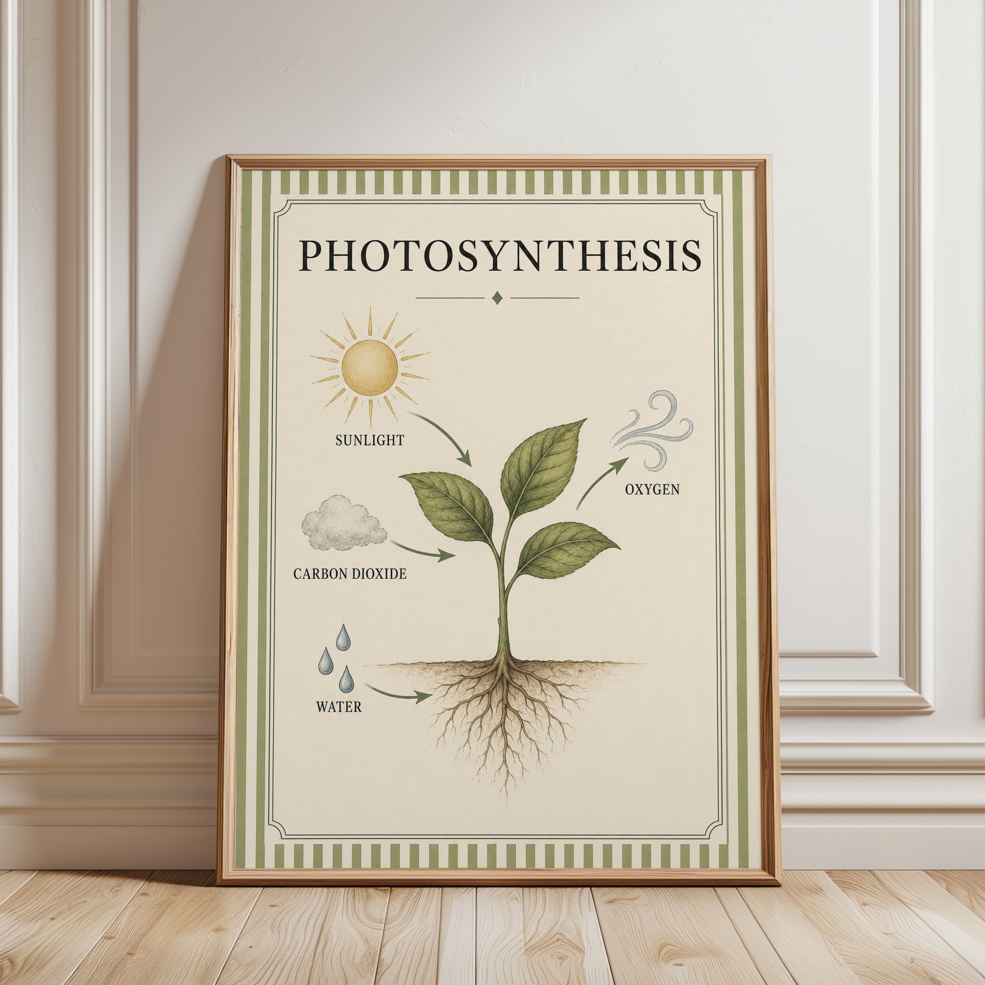 Photosynthesis Poster – Educational Wall Art - framed detail