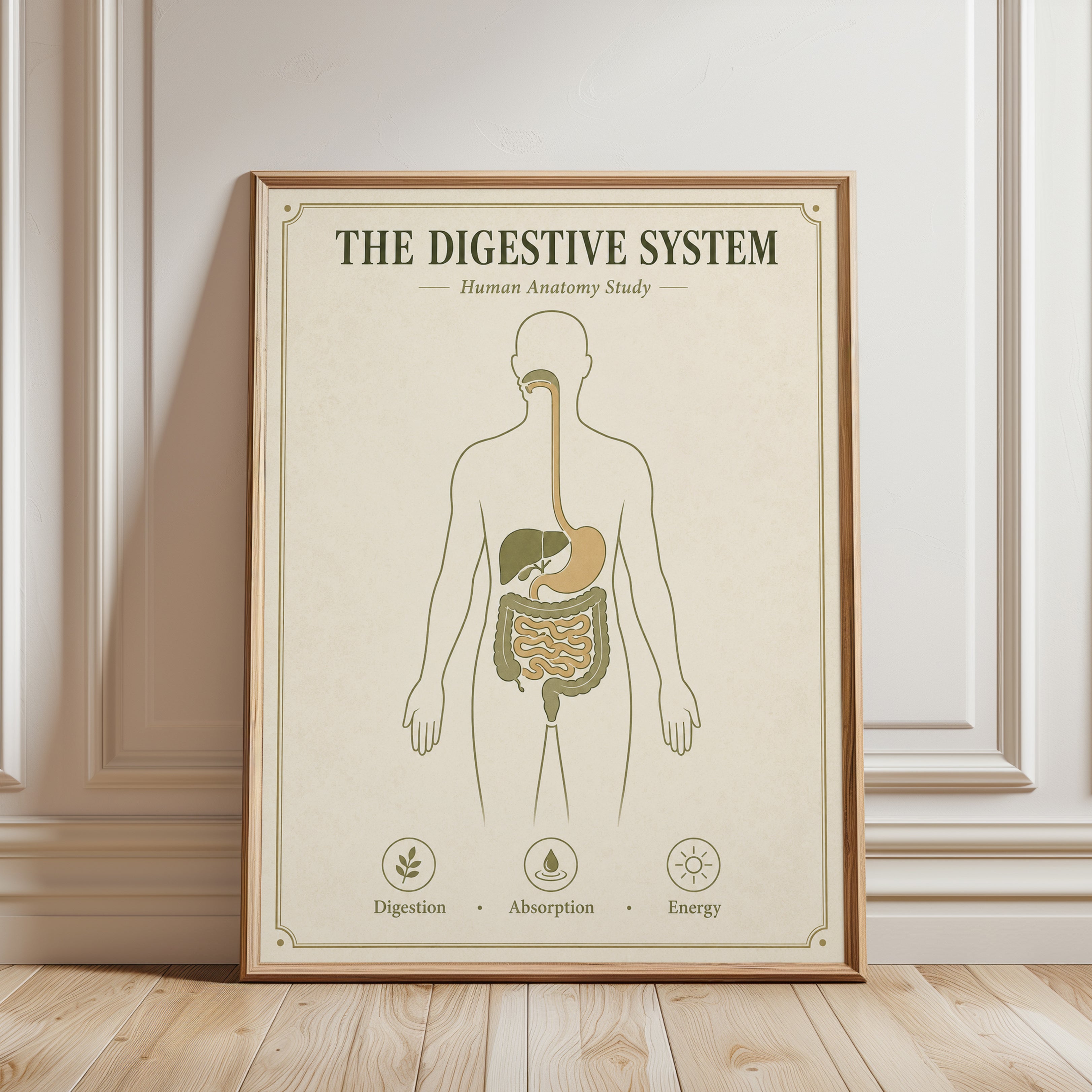 Digestive System Anatomy Print — Vintage Educational Study Chart - framed detail