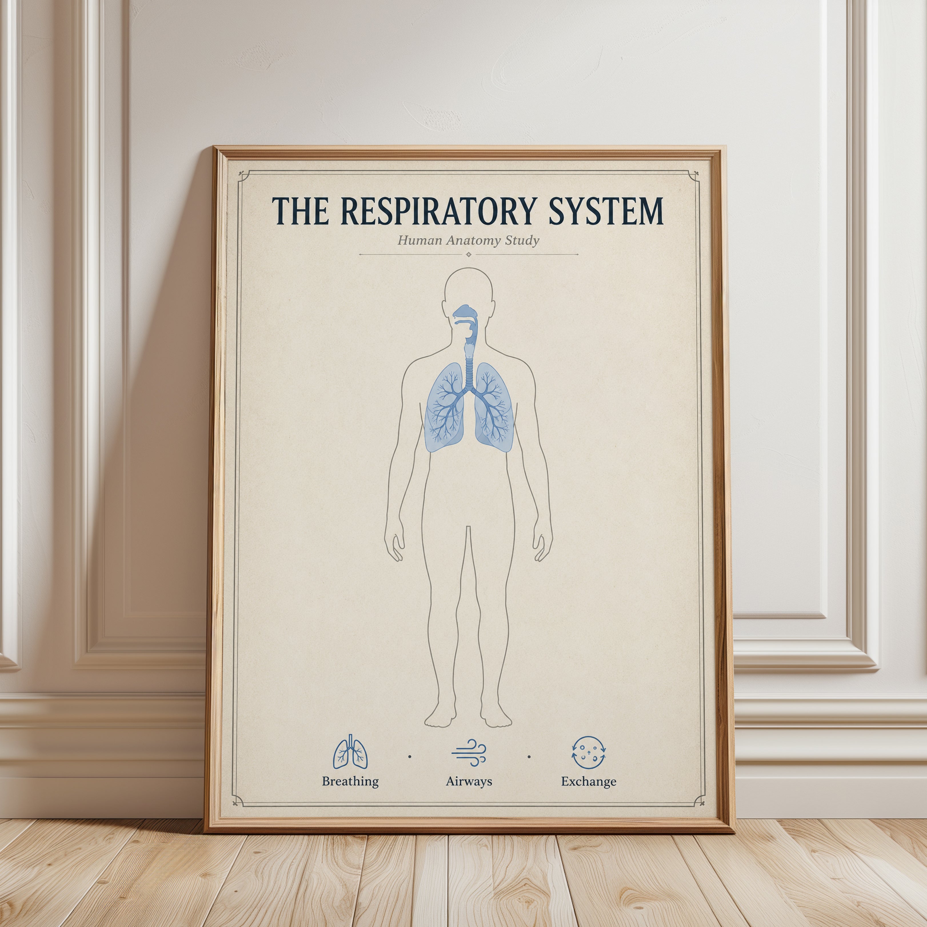 Respiratory System Anatomy Print — Vintage Medical Illustration - framed detail