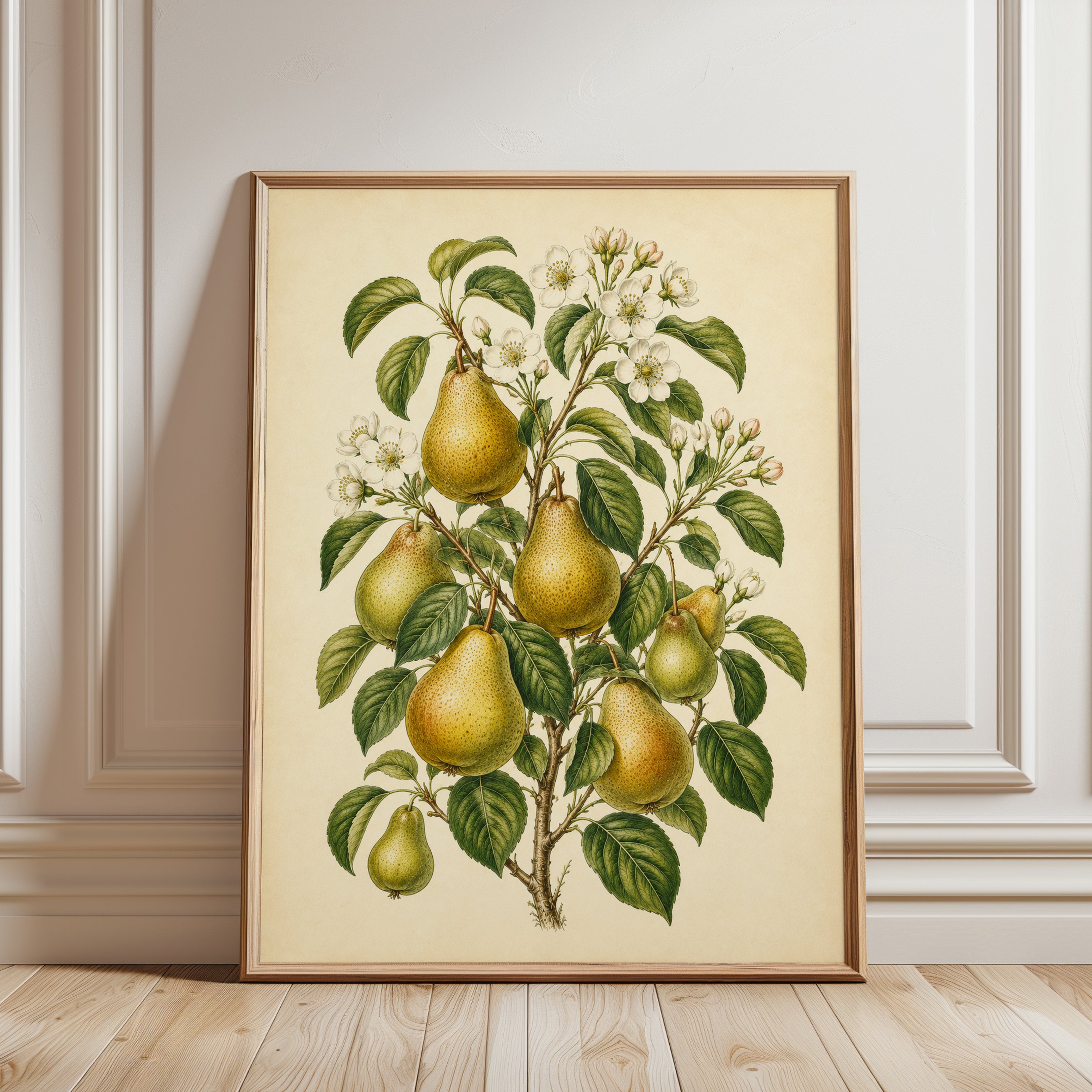 Vintage Pear Botanical Print: Classic Fruit Illustration Wall Art - framed detail