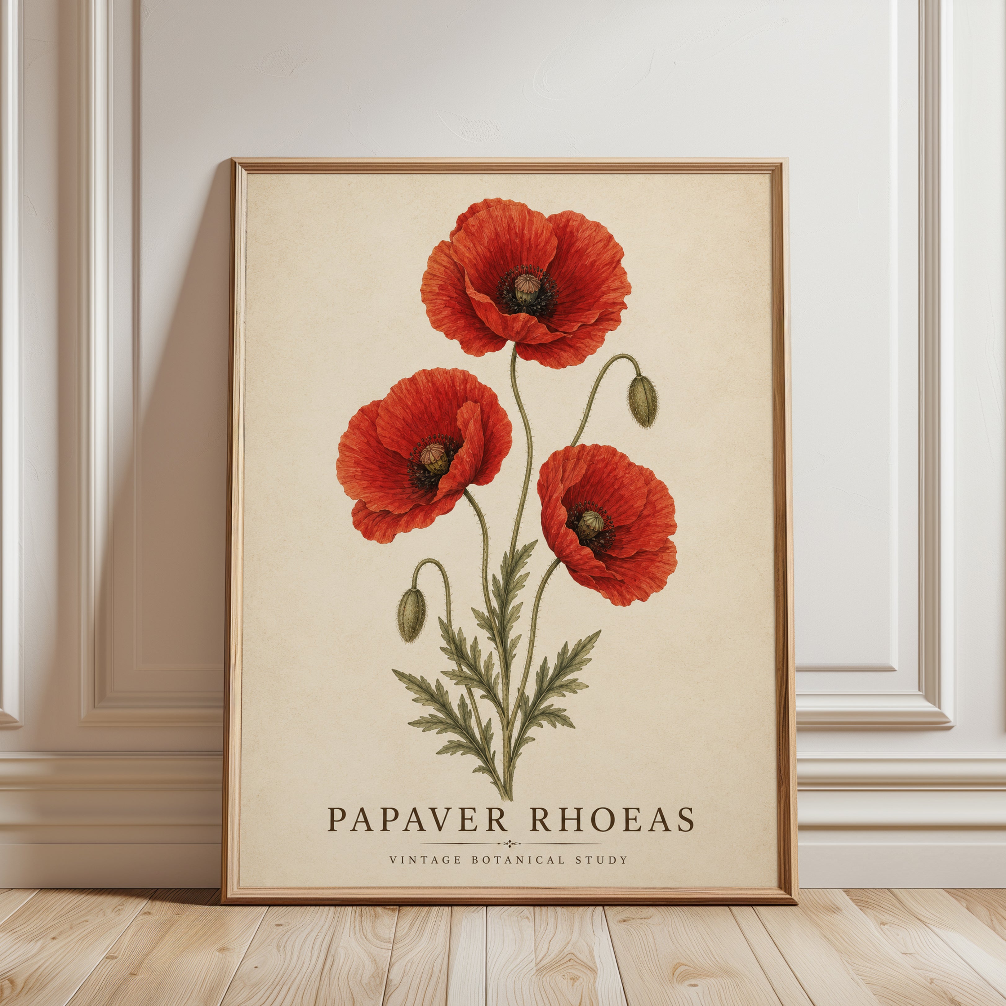 Poppy Botanical Print – Vintage Floral Wall Art - framed detail