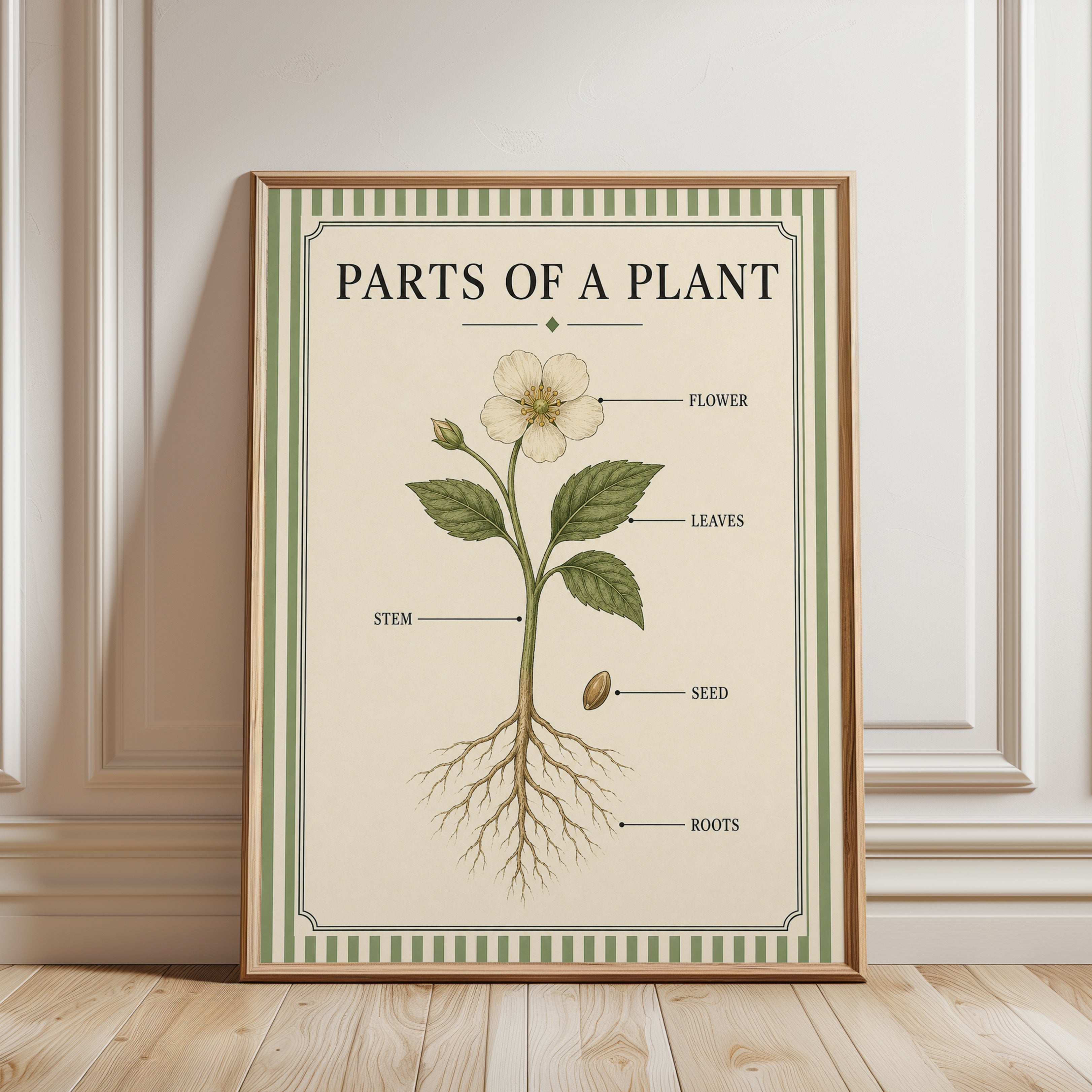 Plant Anatomy Poster – Parts of a Plant Print - framed detail