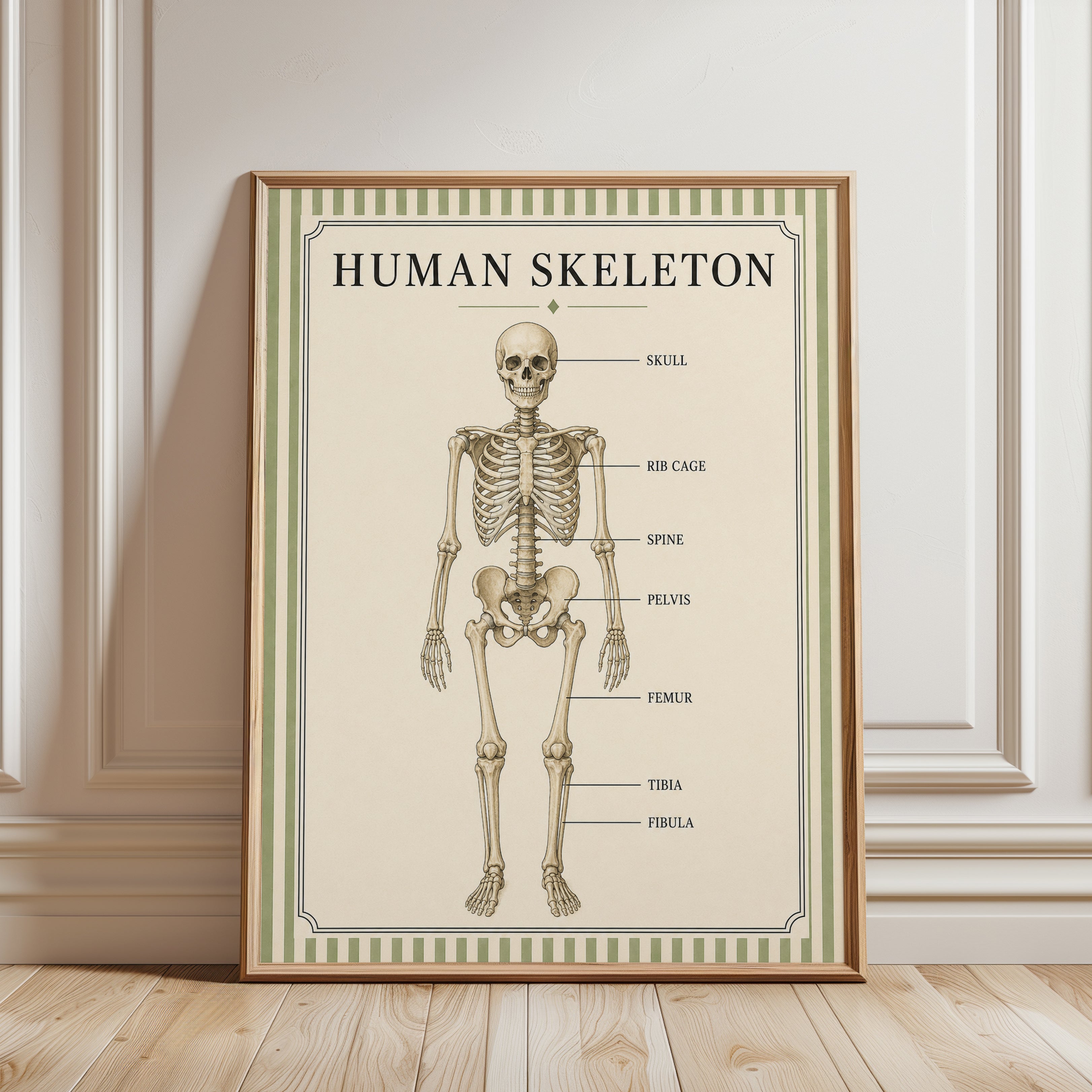 Human Skeleton Poster – Anatomy Wall Art - framed detail