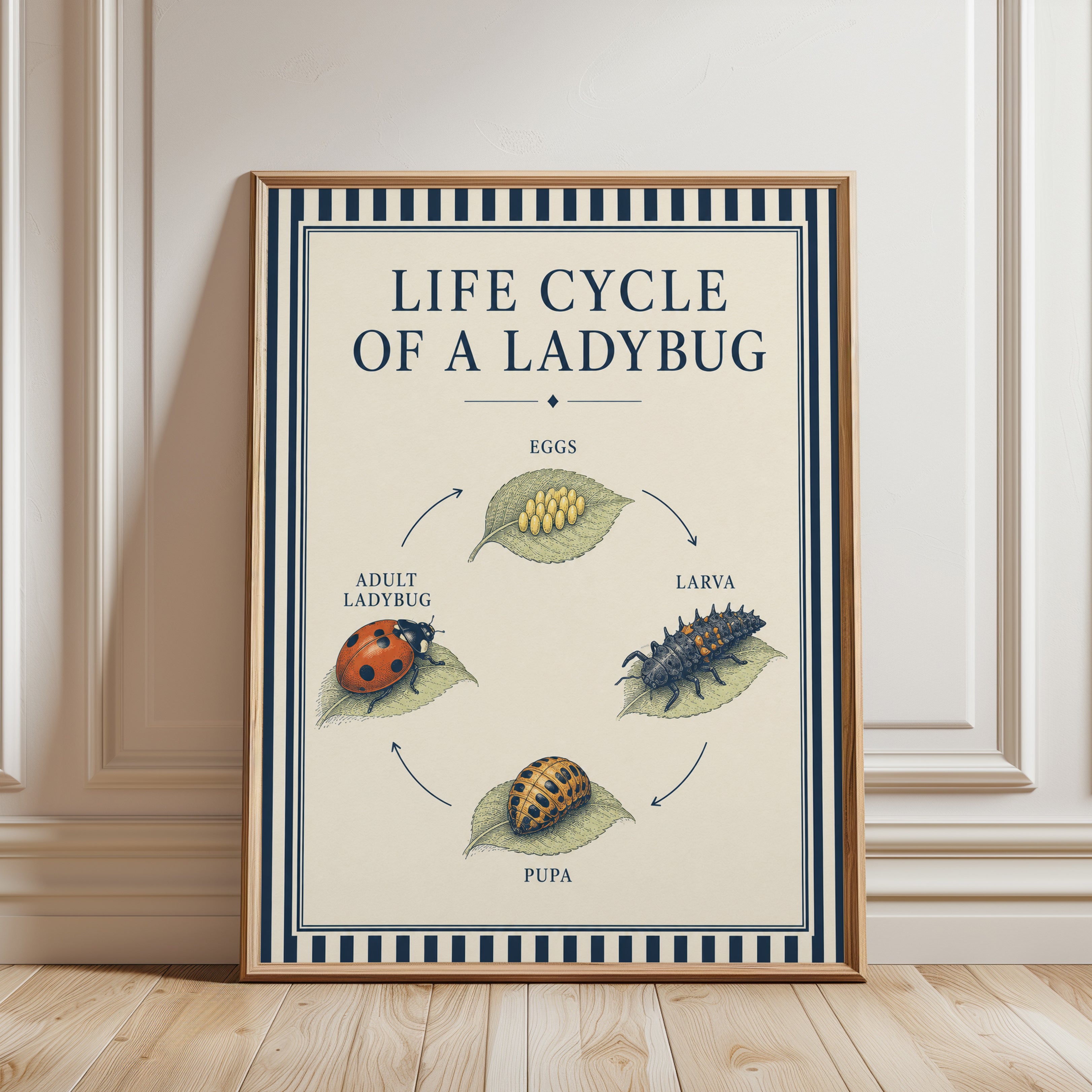 Ladybug Life Cycle Poster - framed detail