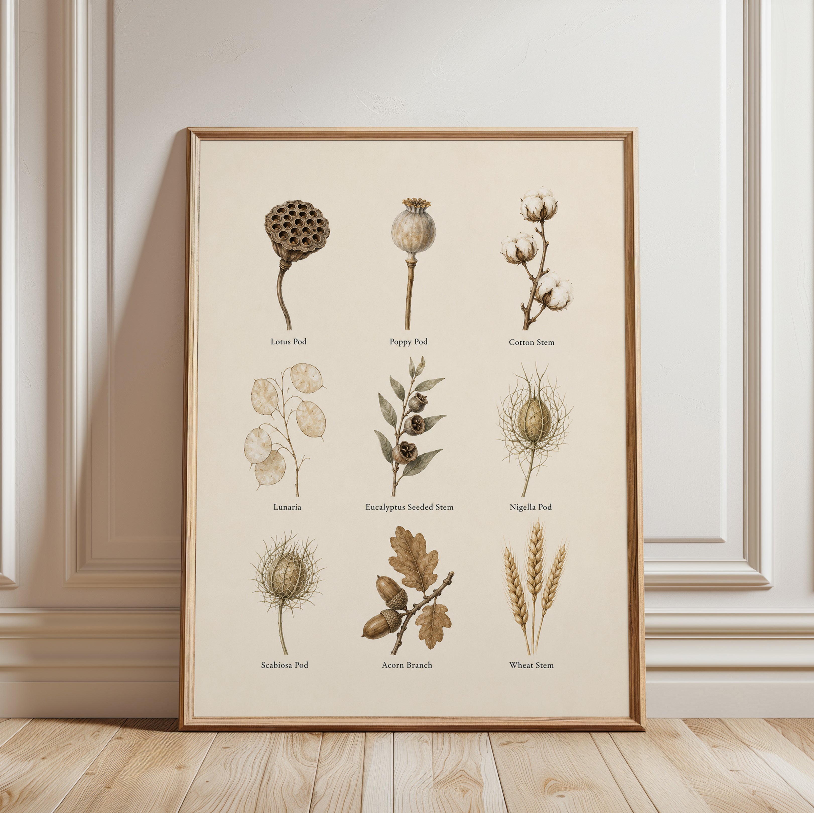 Botanical Chart Print – Dried Flower Wall Art - framed detail