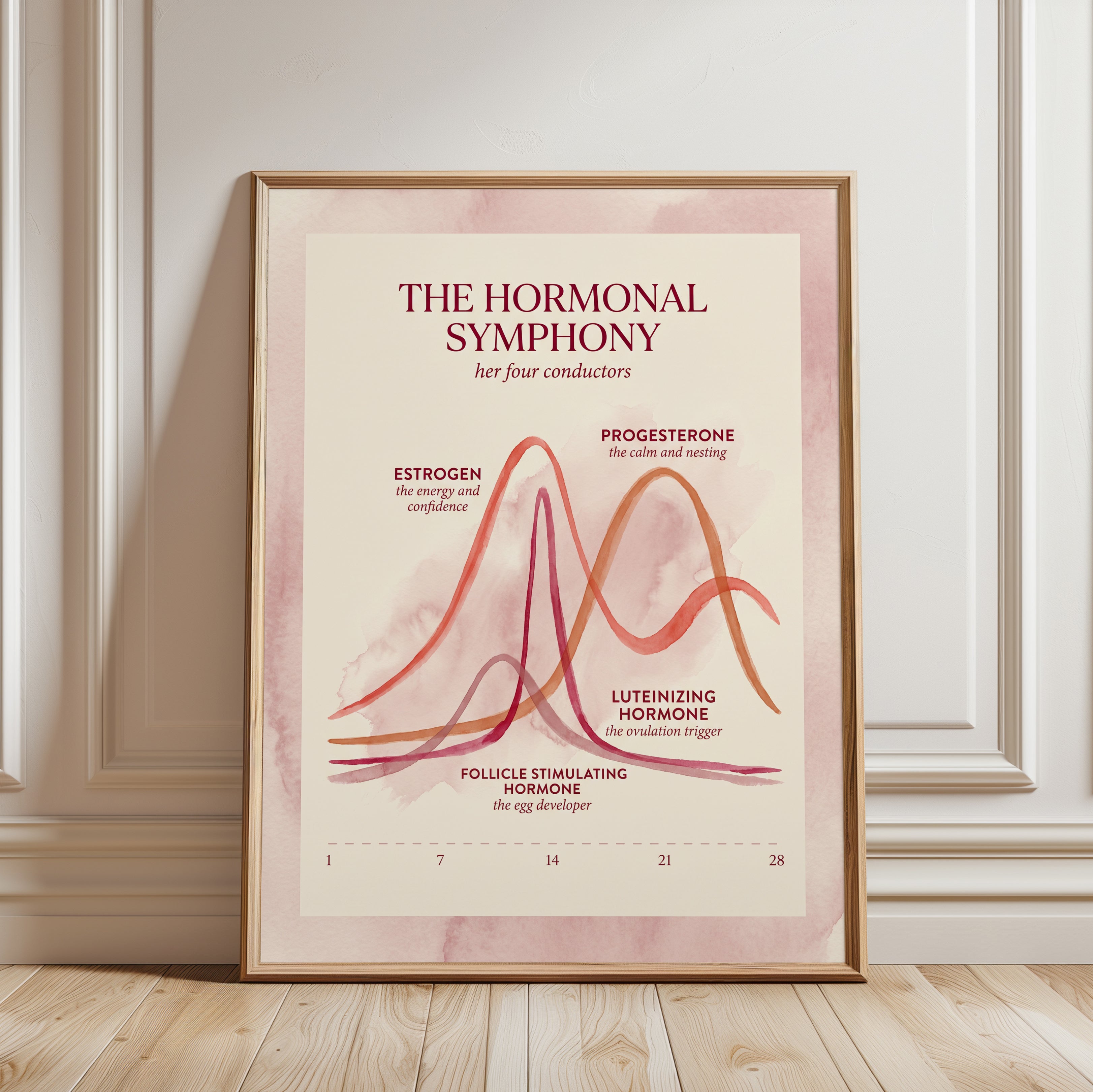 Menstrual Cycle Poster - framed detail